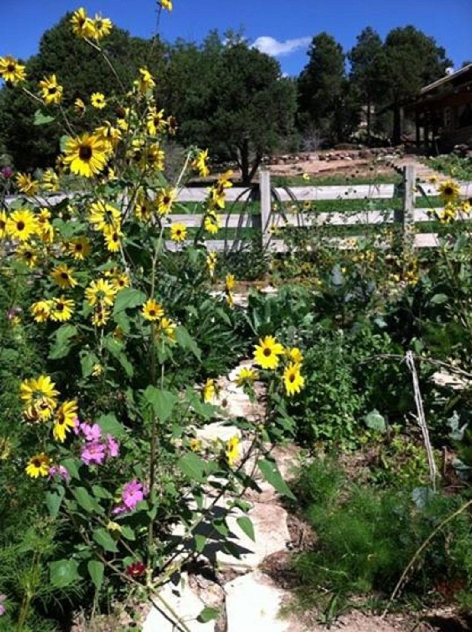 Boulder Mountain Guest Ranch