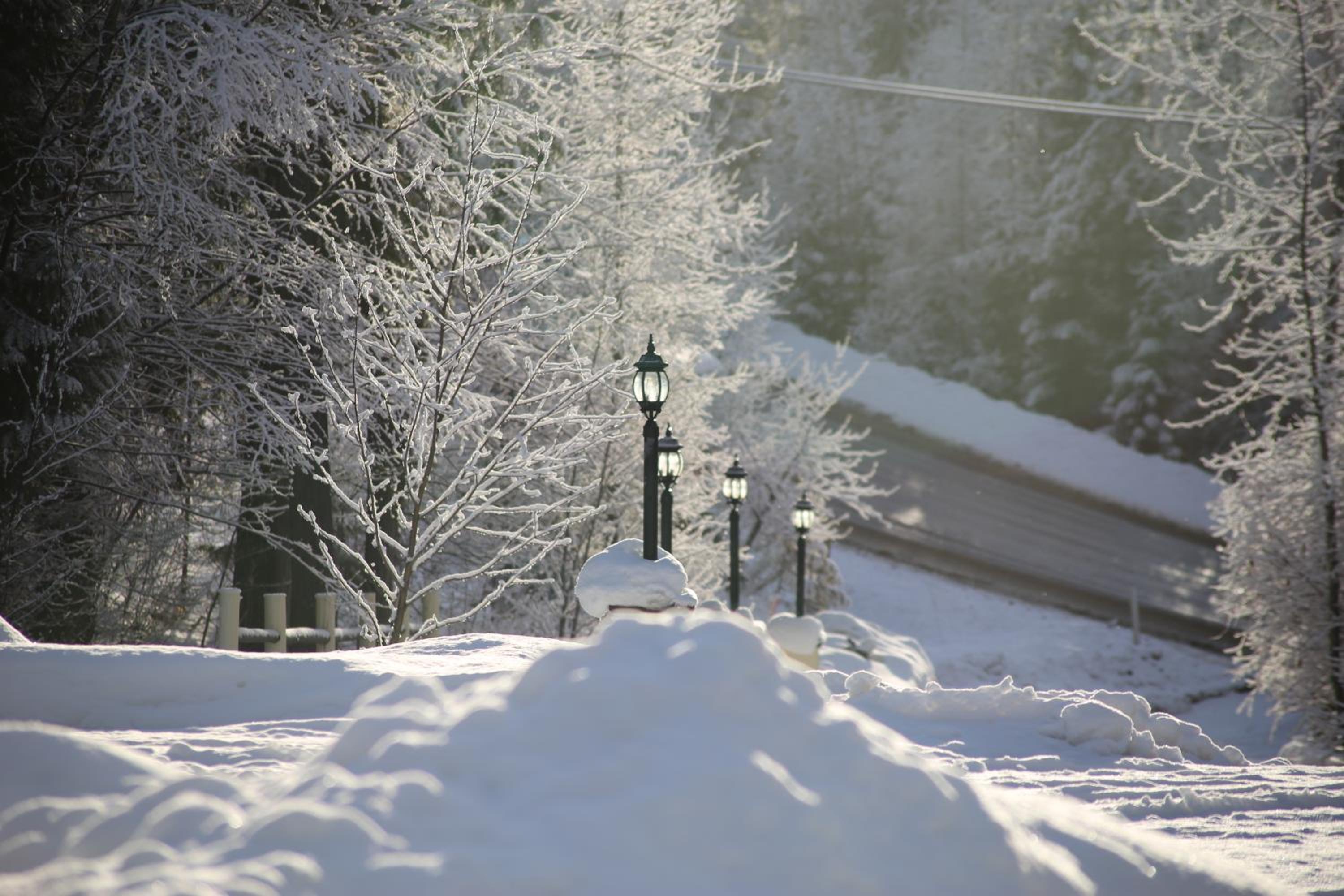 Vernon Vacations - Silver Star Bed and Breakfast - Property Image 2