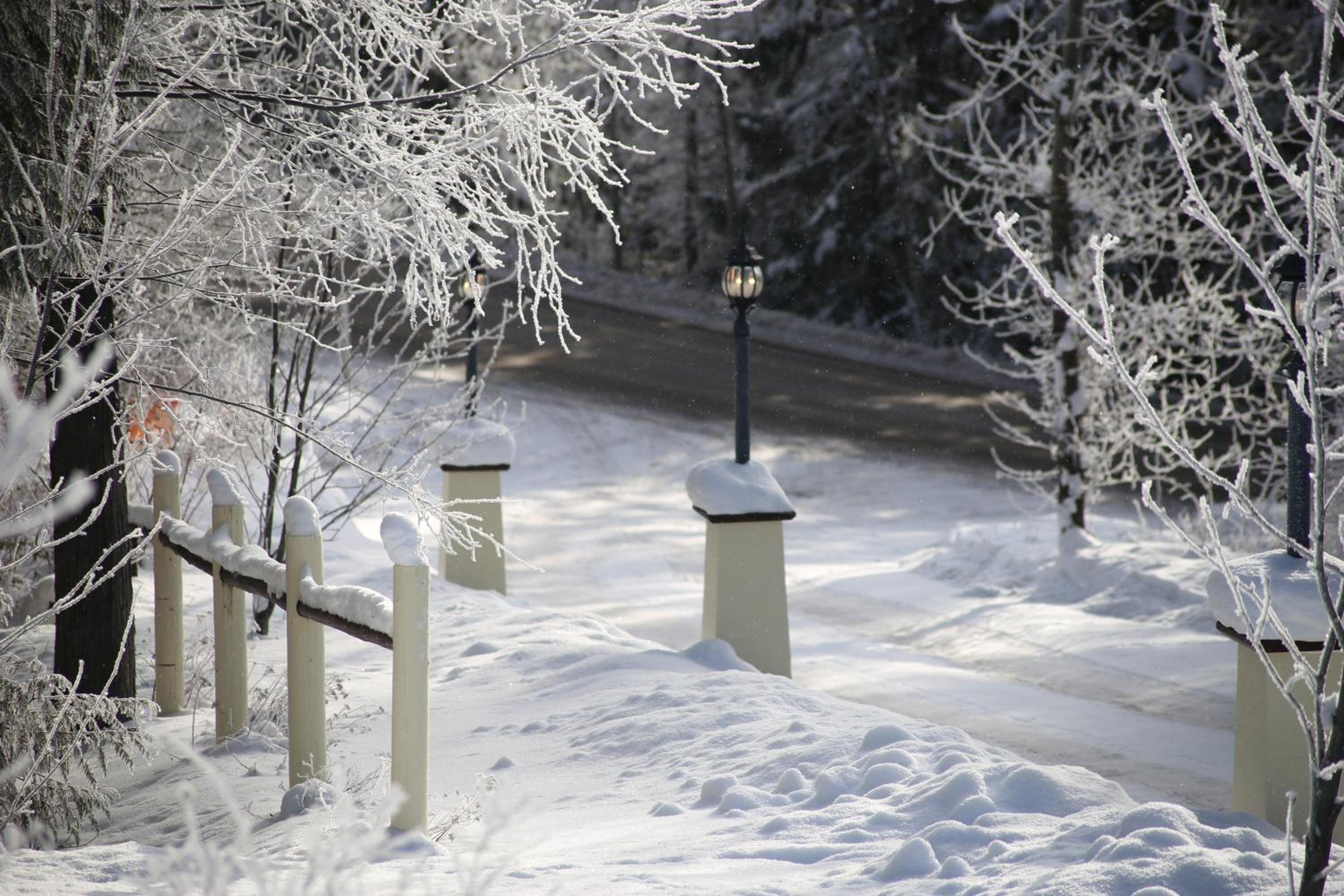 Vernon Vacations - Silver Star Bed and Breakfast - Property Image 20