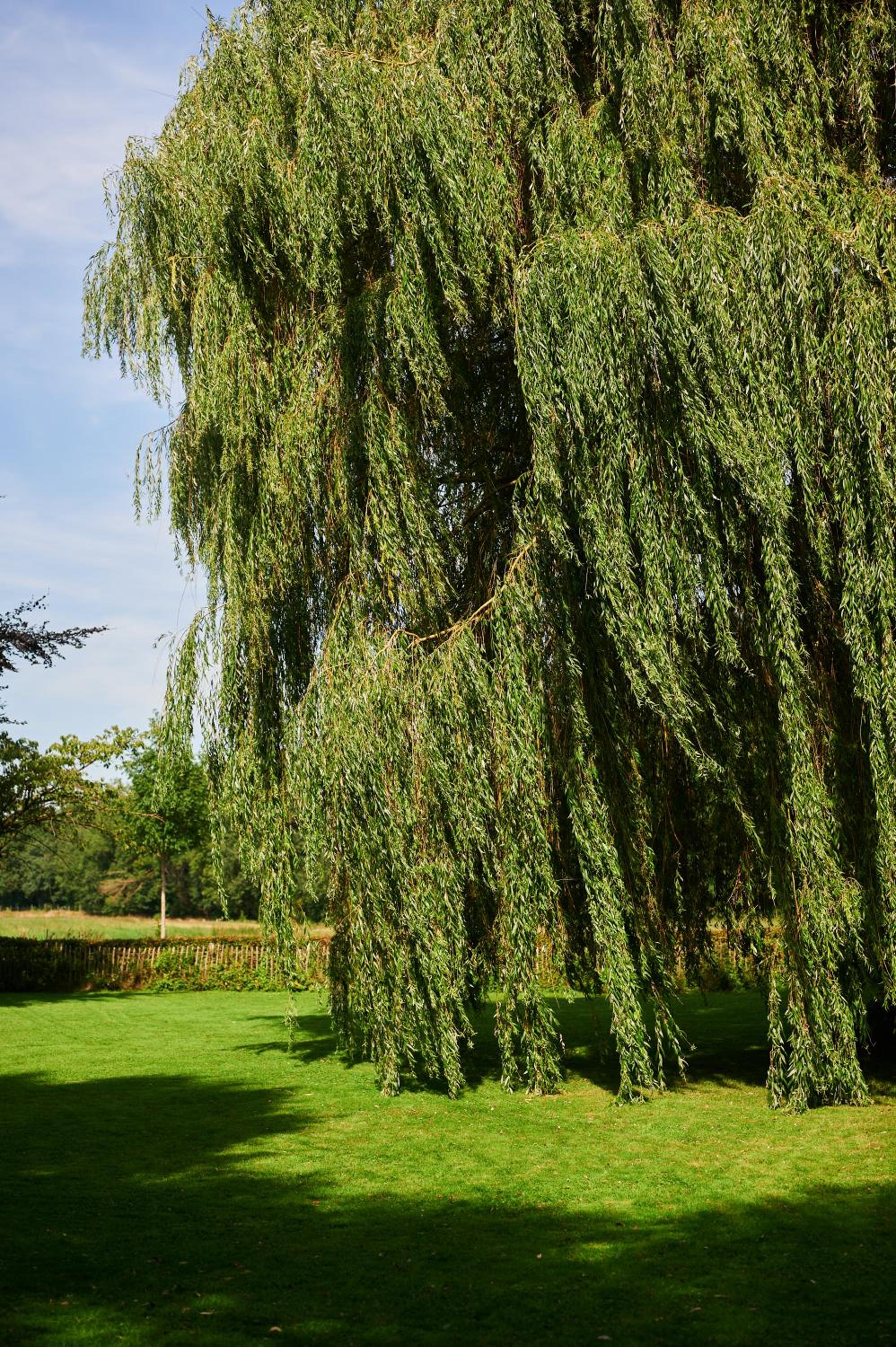 Broekemmolen - Nature getaway & green spot