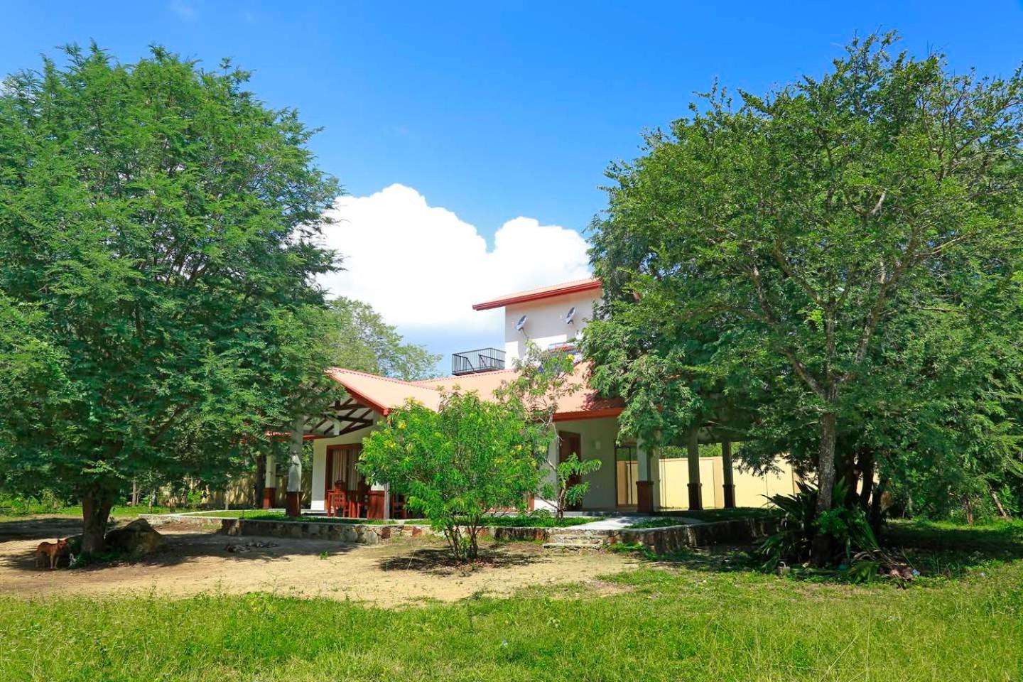 The Forest Chalet