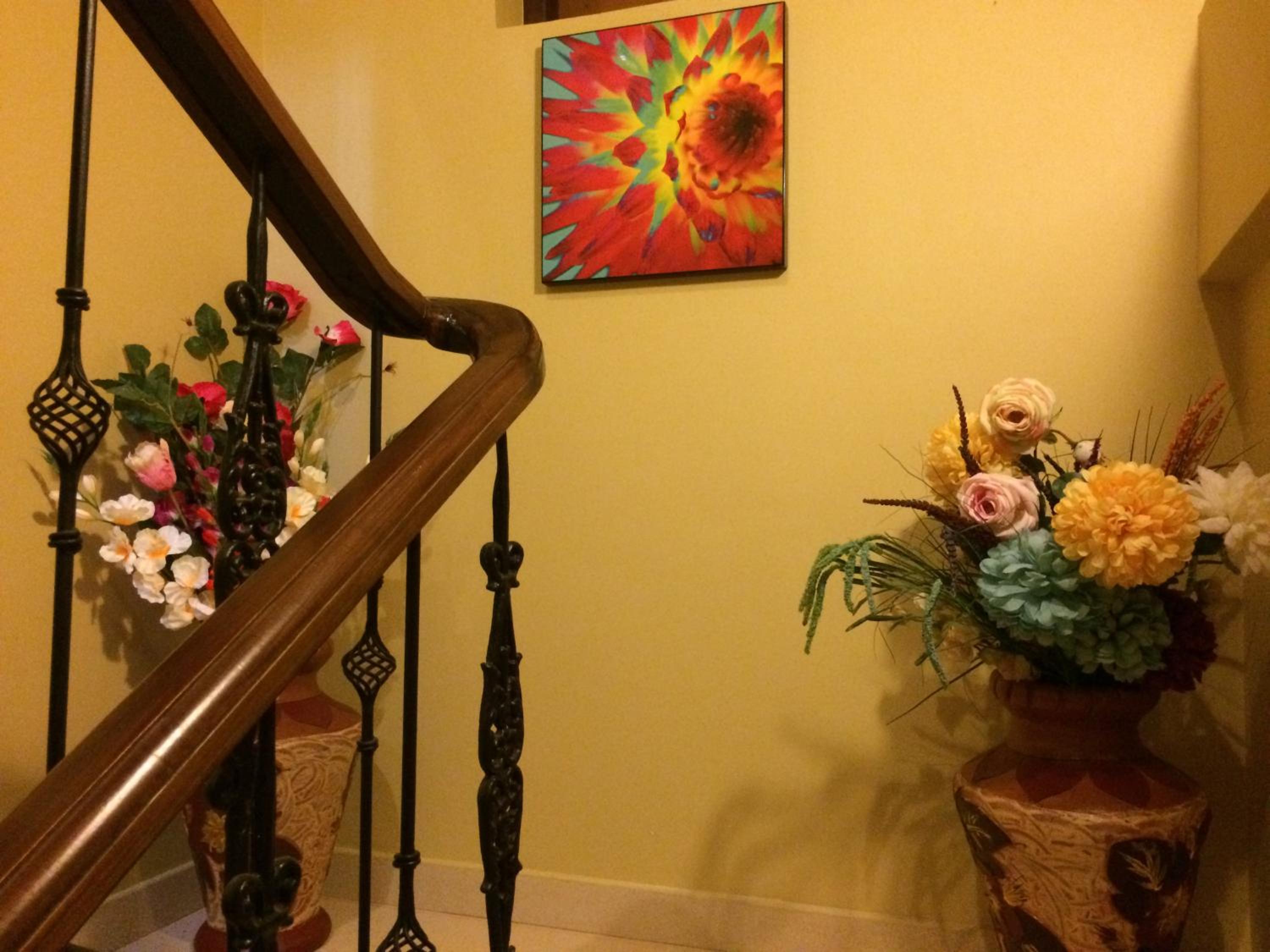 Photo 42