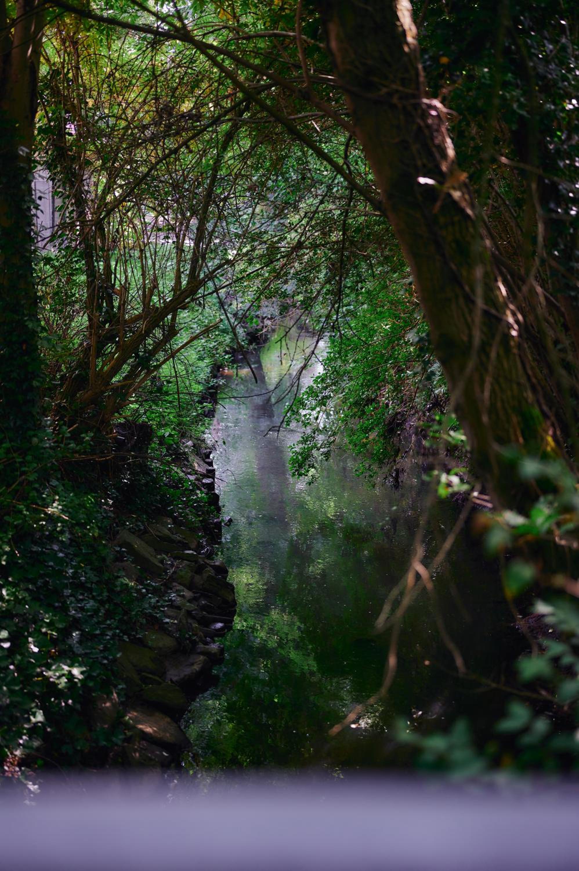 Broekemmolen - Nature getaway & green spot