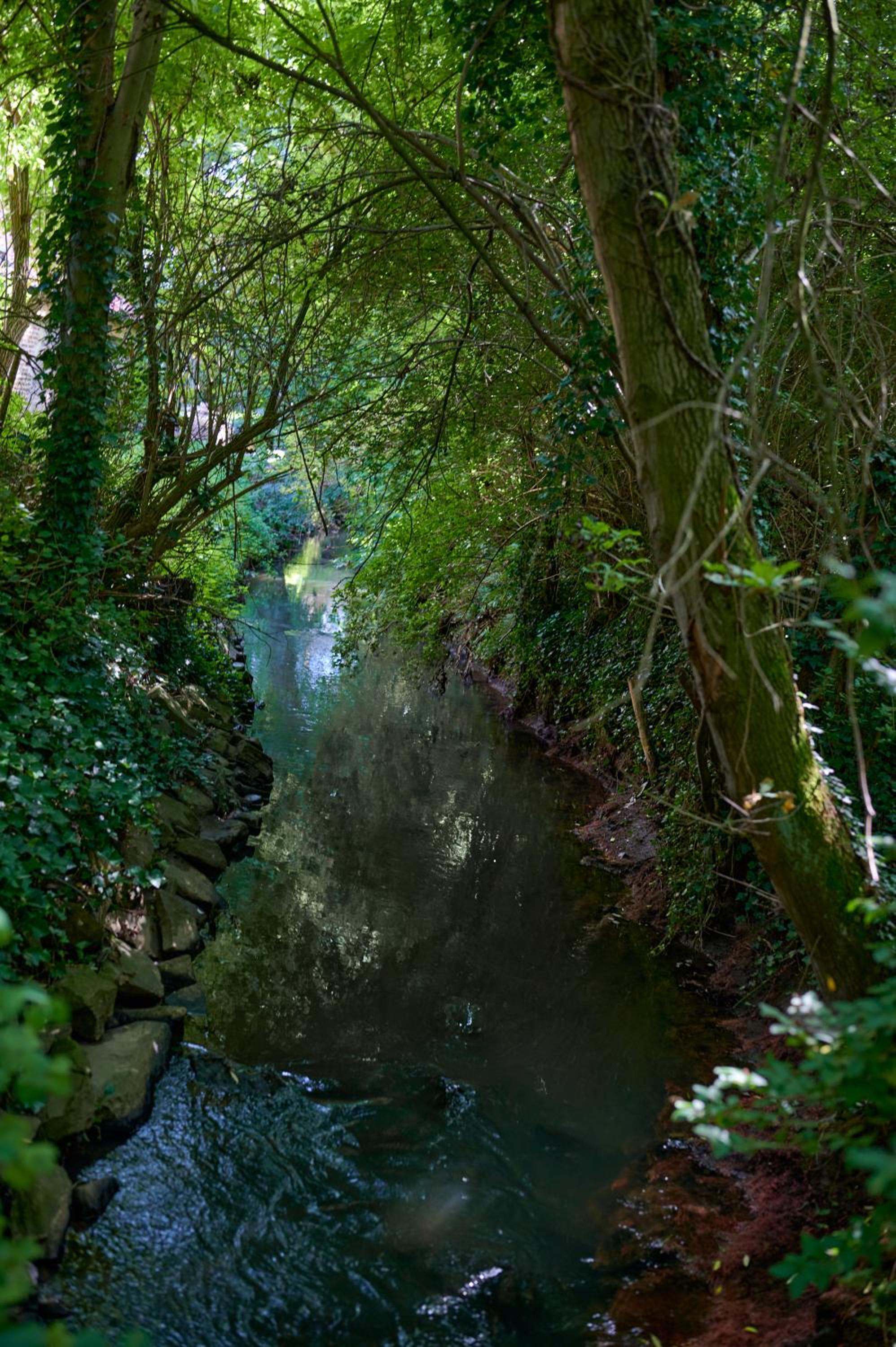 Broekemmolen - Nature getaway & green spot