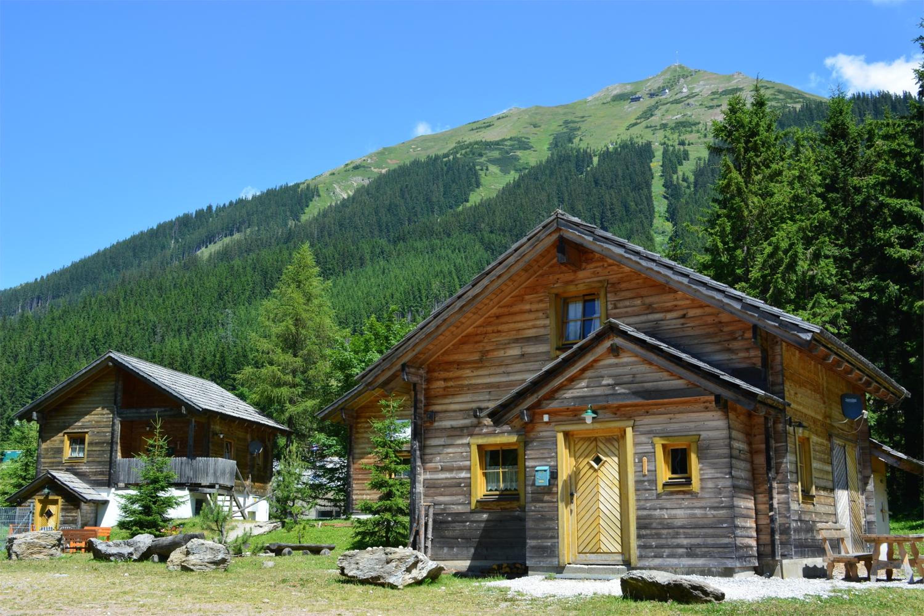 Photo 8