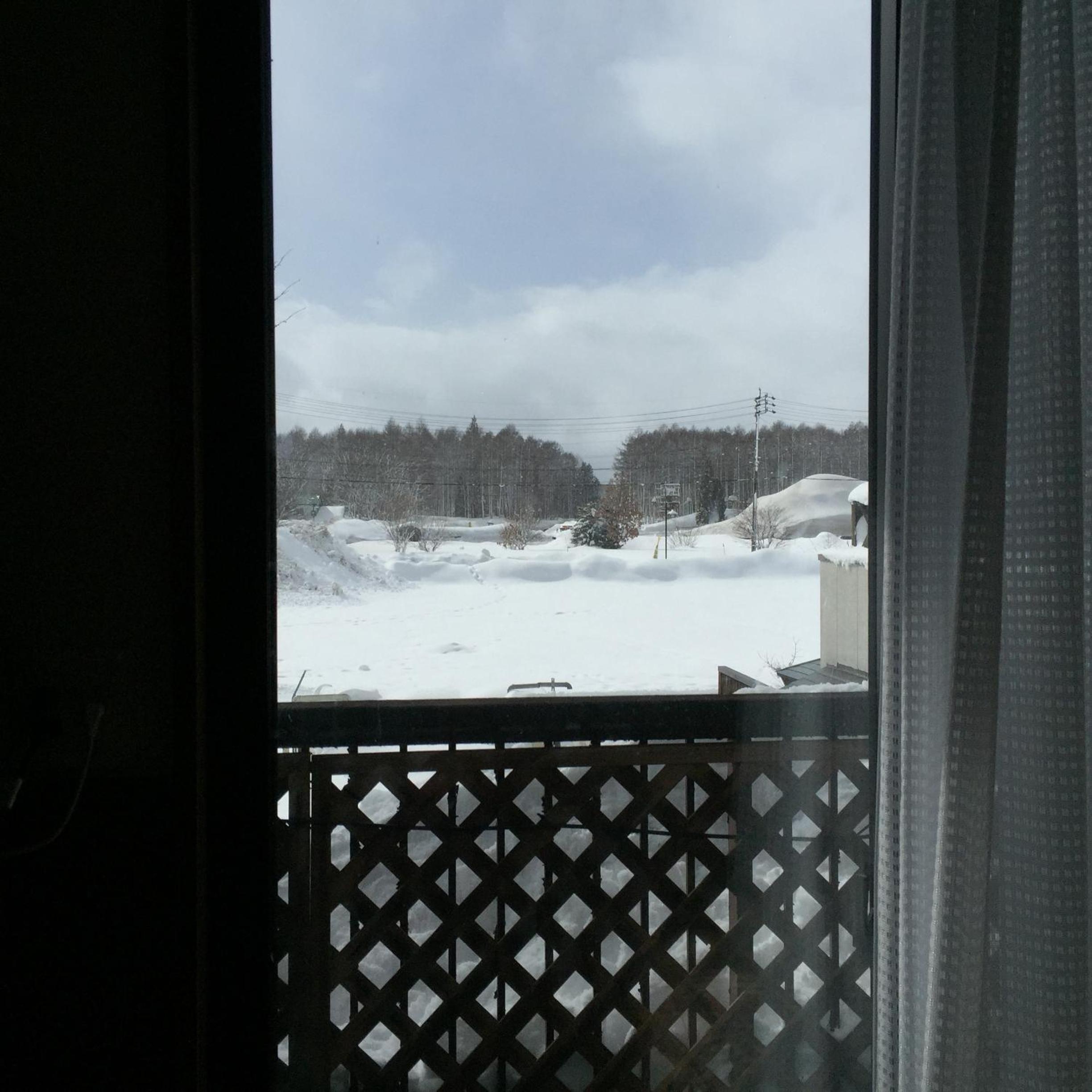 Schole Hakuba