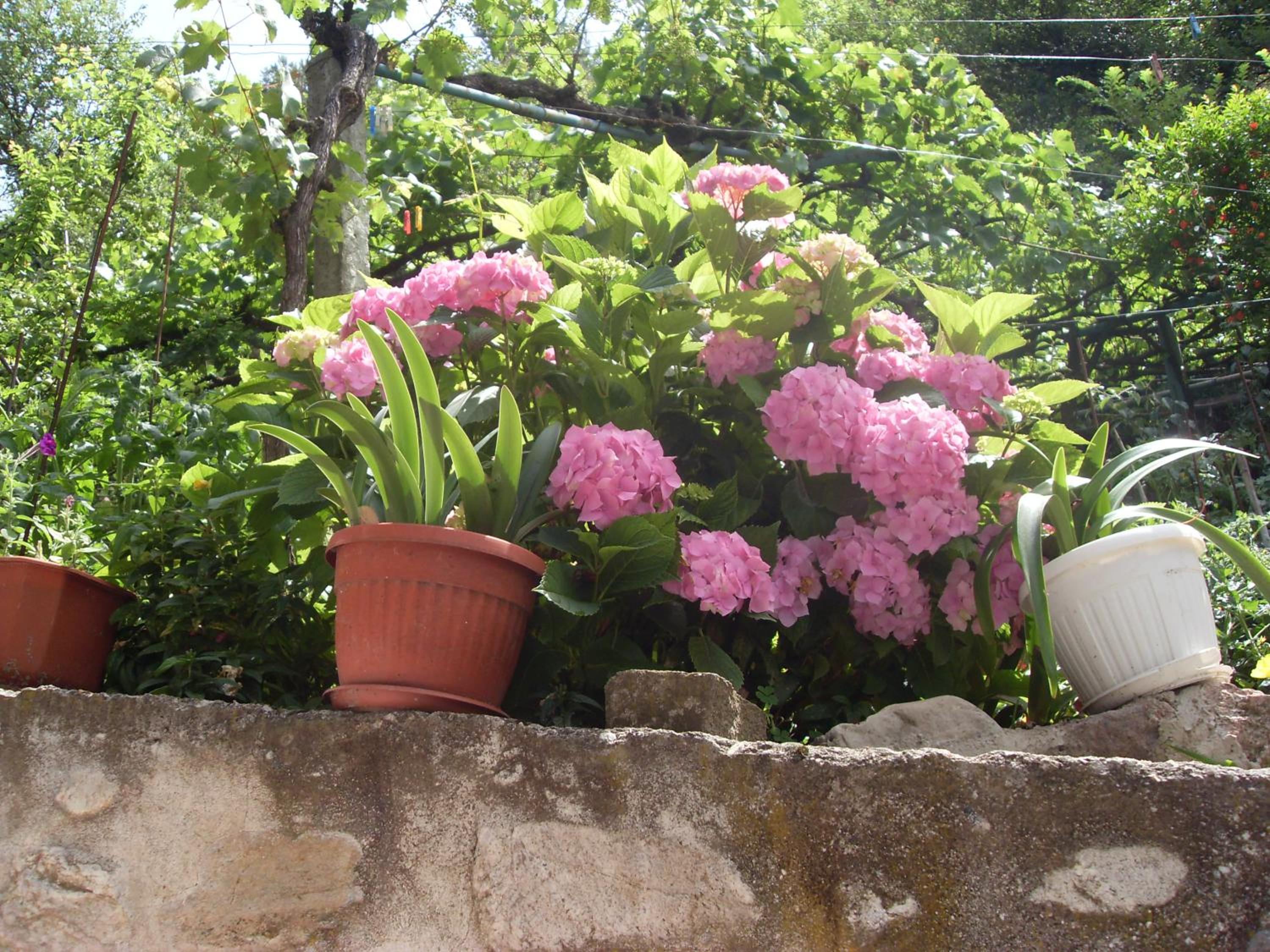Guest House Rimski Most