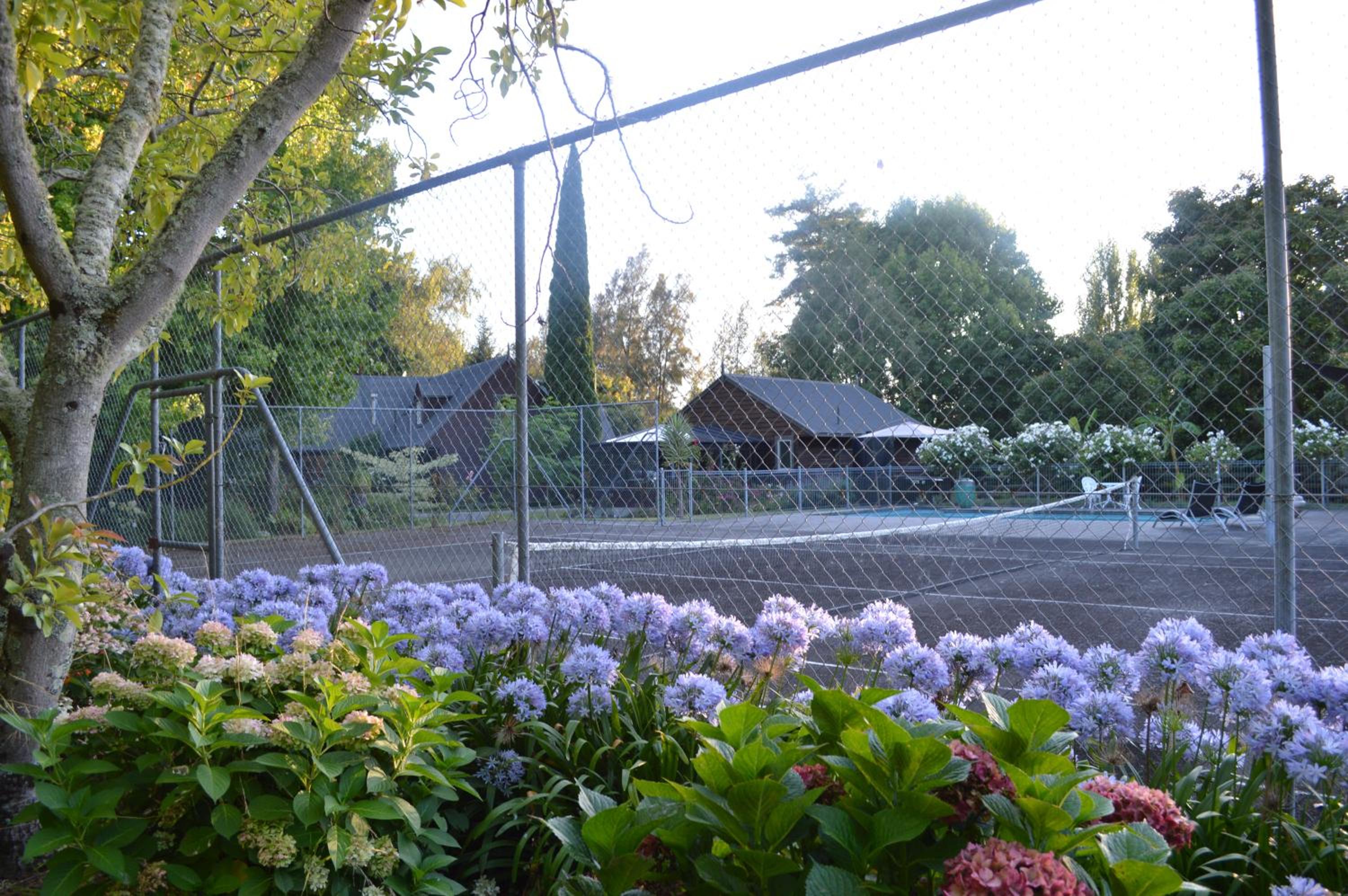 Photo 19