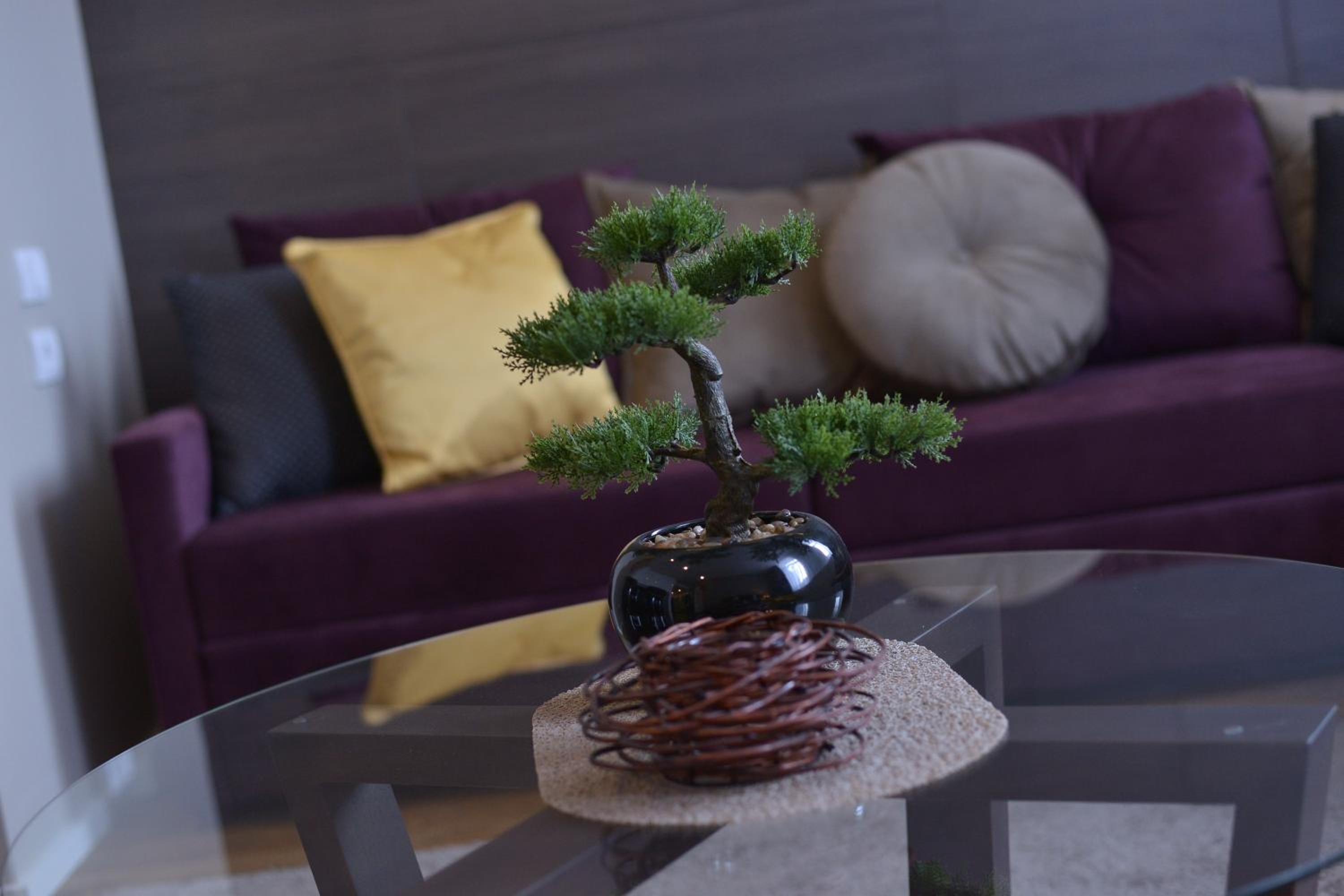 Boutique Rooms