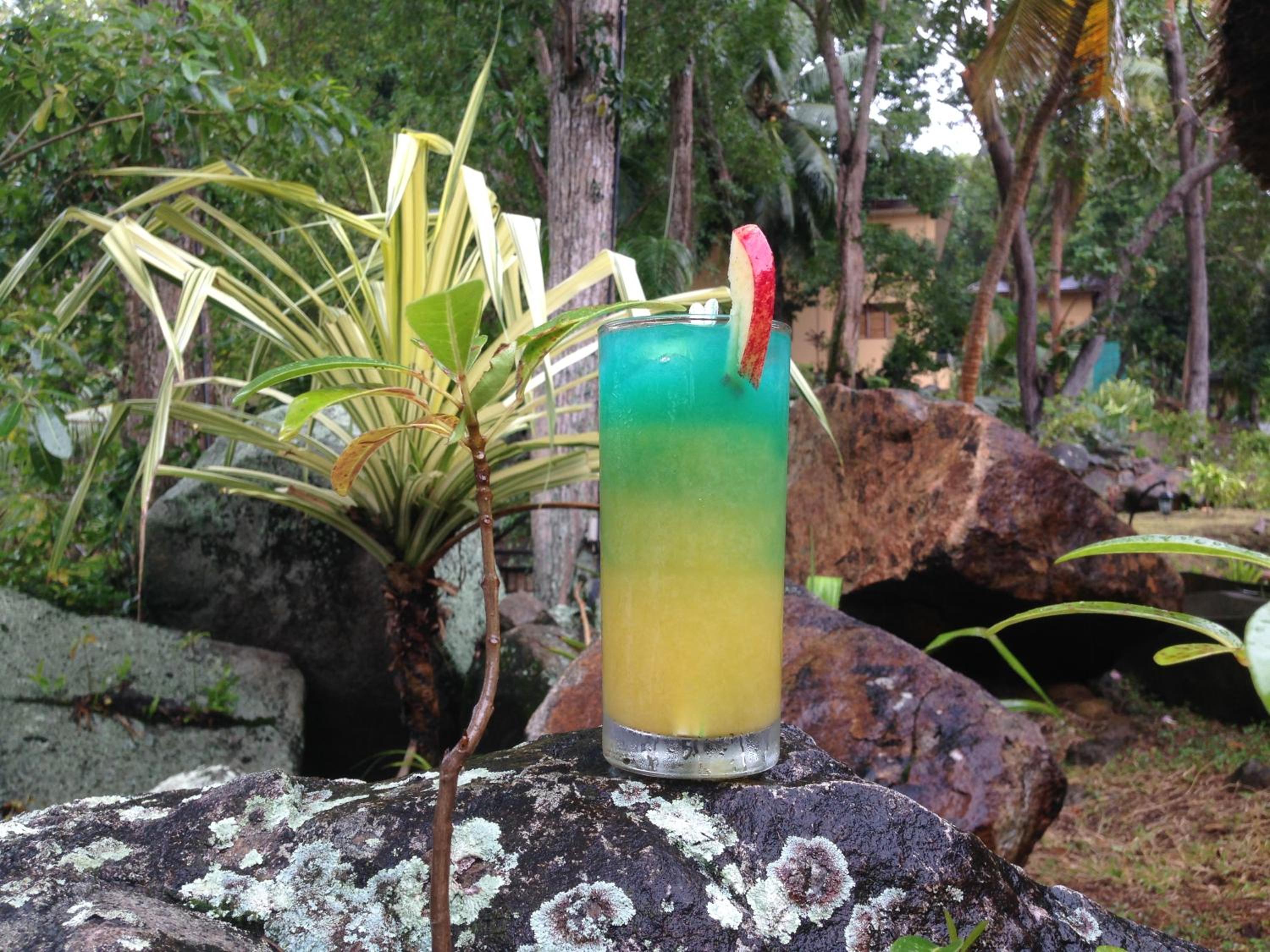 Cerf Island Resort — photo 16