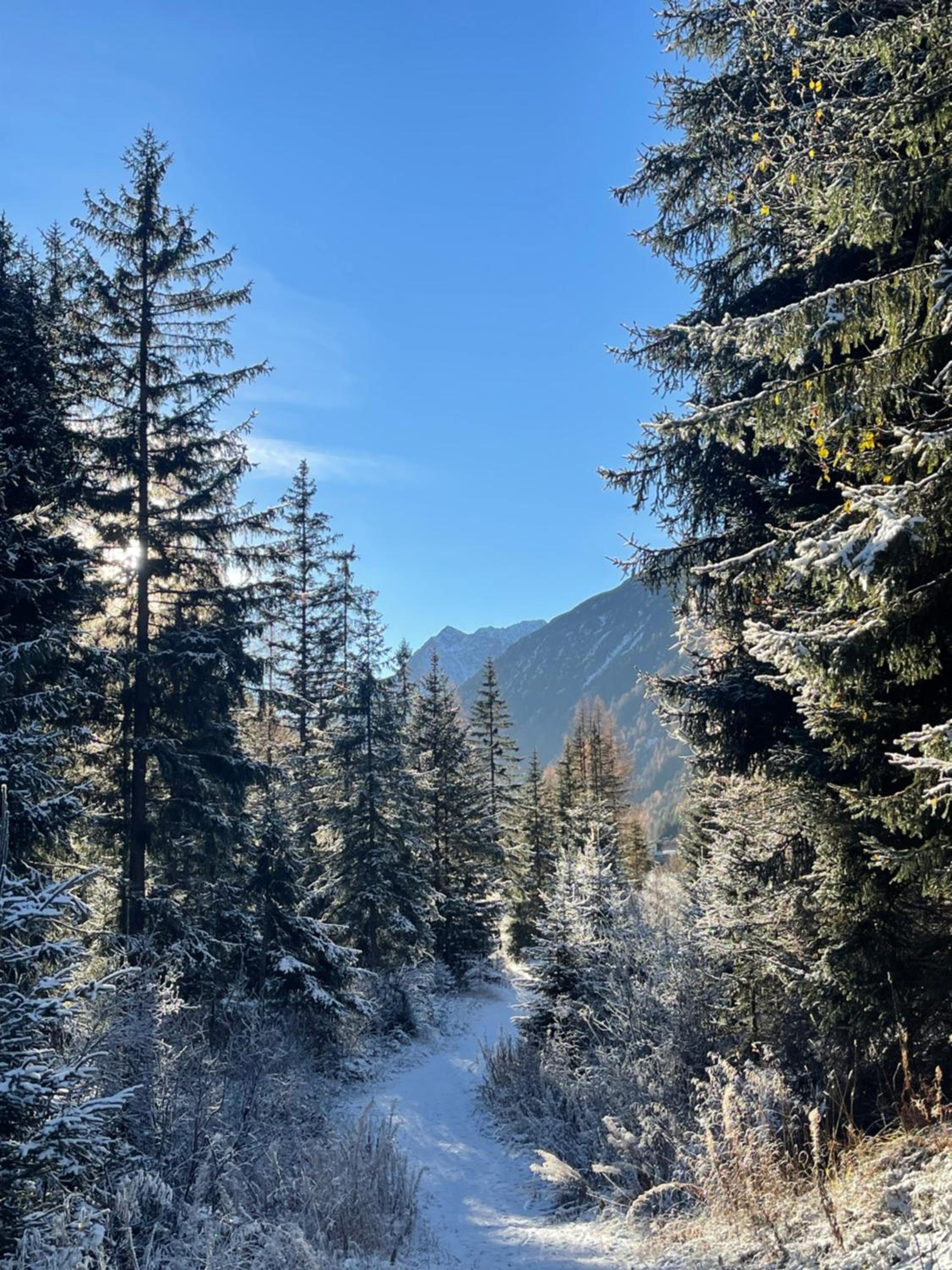 Alpenfels Apartments - Zwieselstein