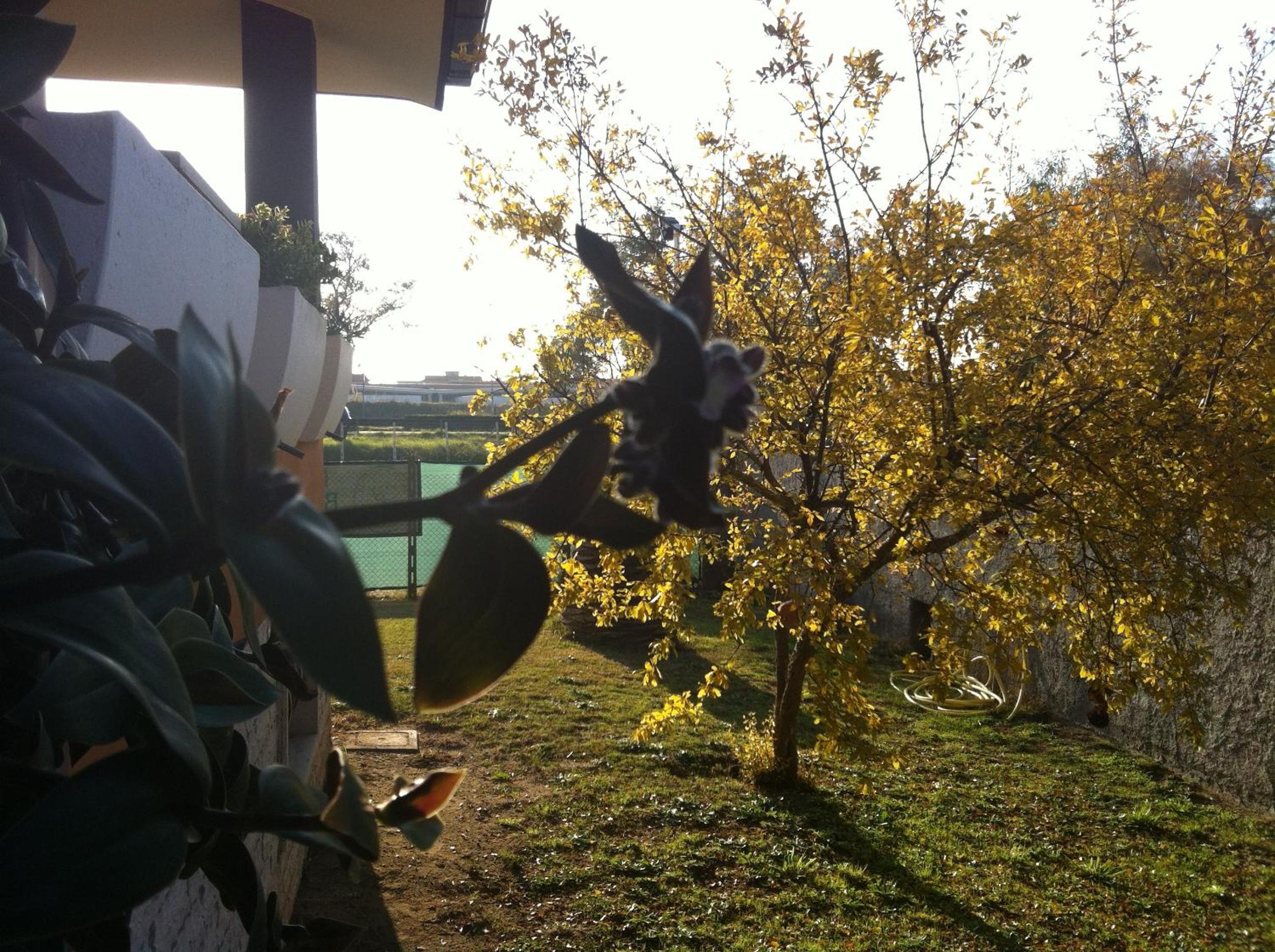 B&B Insula Portus view 2