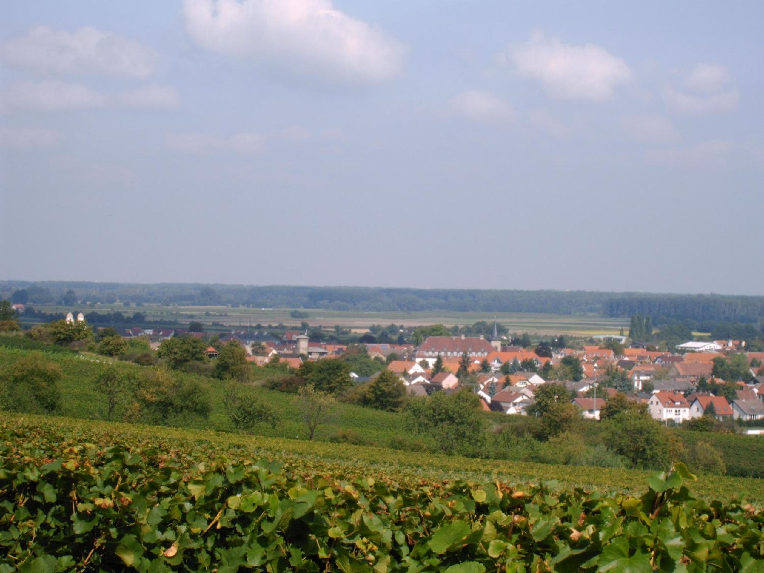 Photo 17