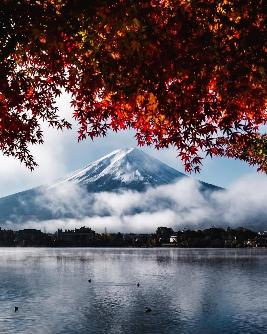 Tomarigi Perch とまりぎ - 10 minutes to Kawaguchiko Station, 5 Double Bedding, 10 PAX, 4 minutes to Seven Eleven, Kawaguchiko Bus 9 minutes, Fuji-Q Highland 1 
