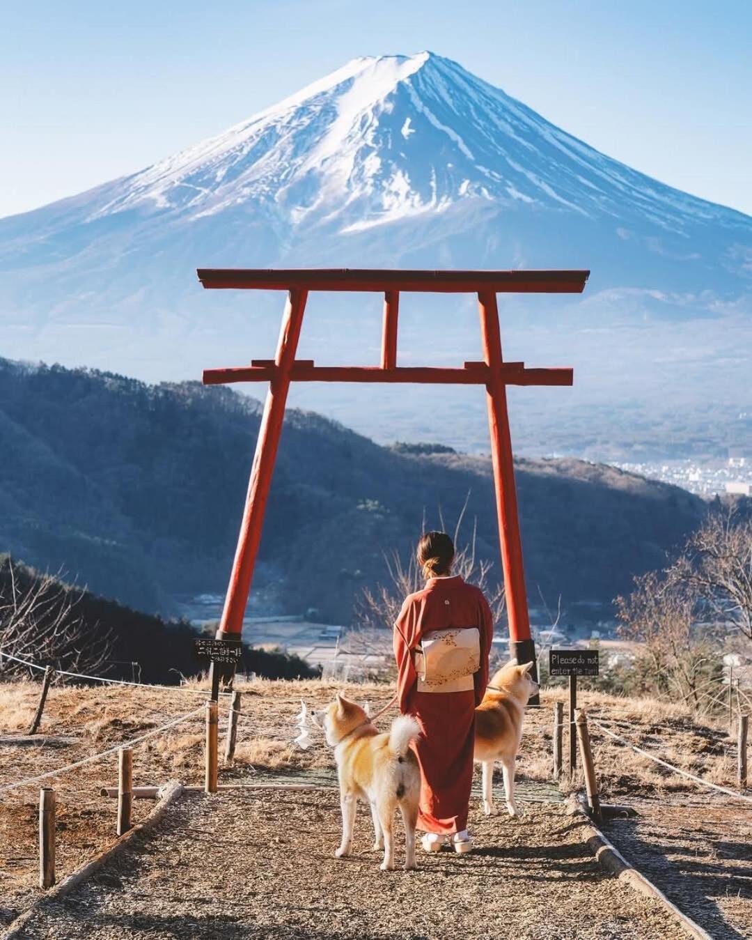 Tomarigi Perch とまりぎ - 10 minutes to Kawaguchiko Station, 5 Double Bedding, 10 PAX, 4 minutes to Seven Eleven, Kawaguchiko Bus 9 minutes, Fuji-Q Highland 1 