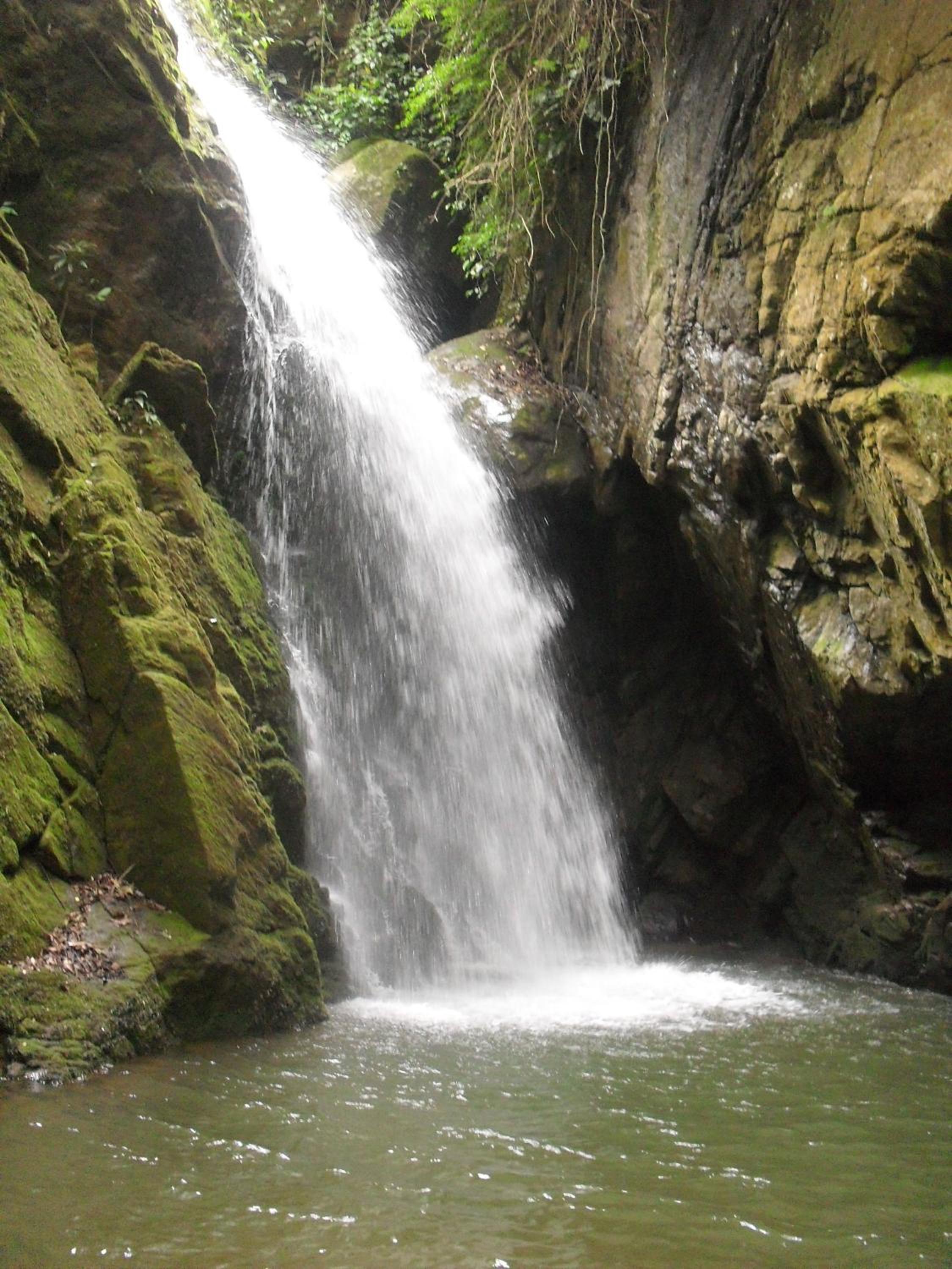 Photo 41