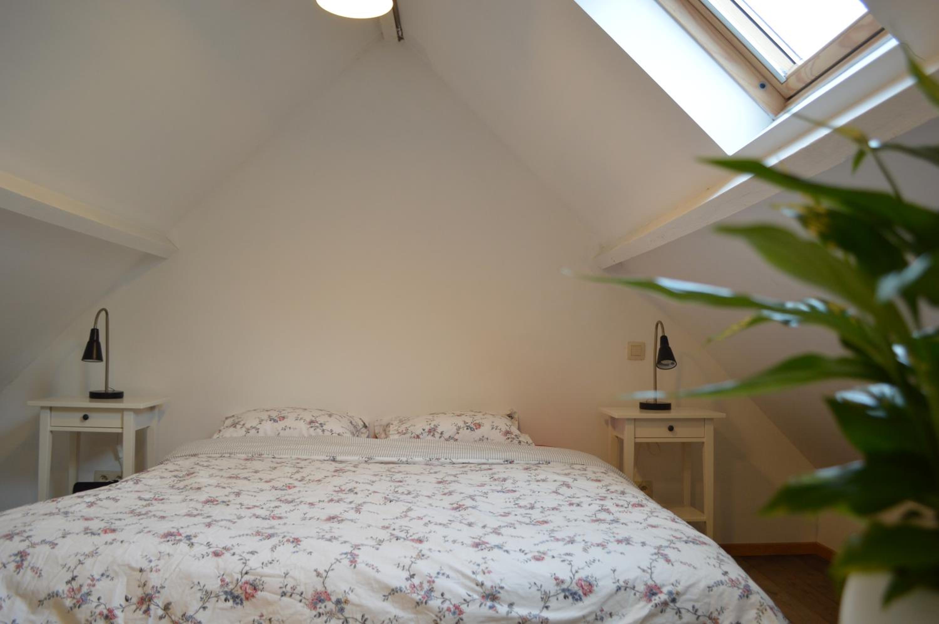 Holiday Home Ipericus