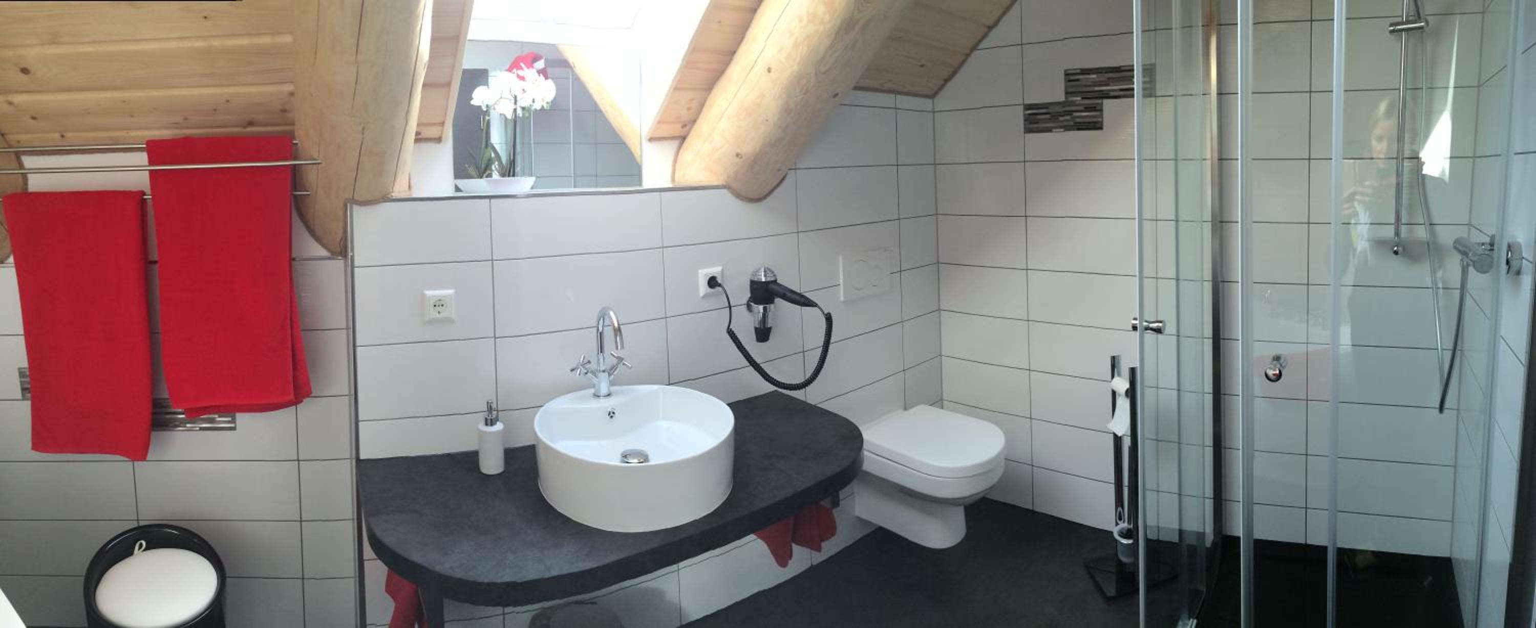 Naturstammhaus und Appartements Zum Brockenbaecker