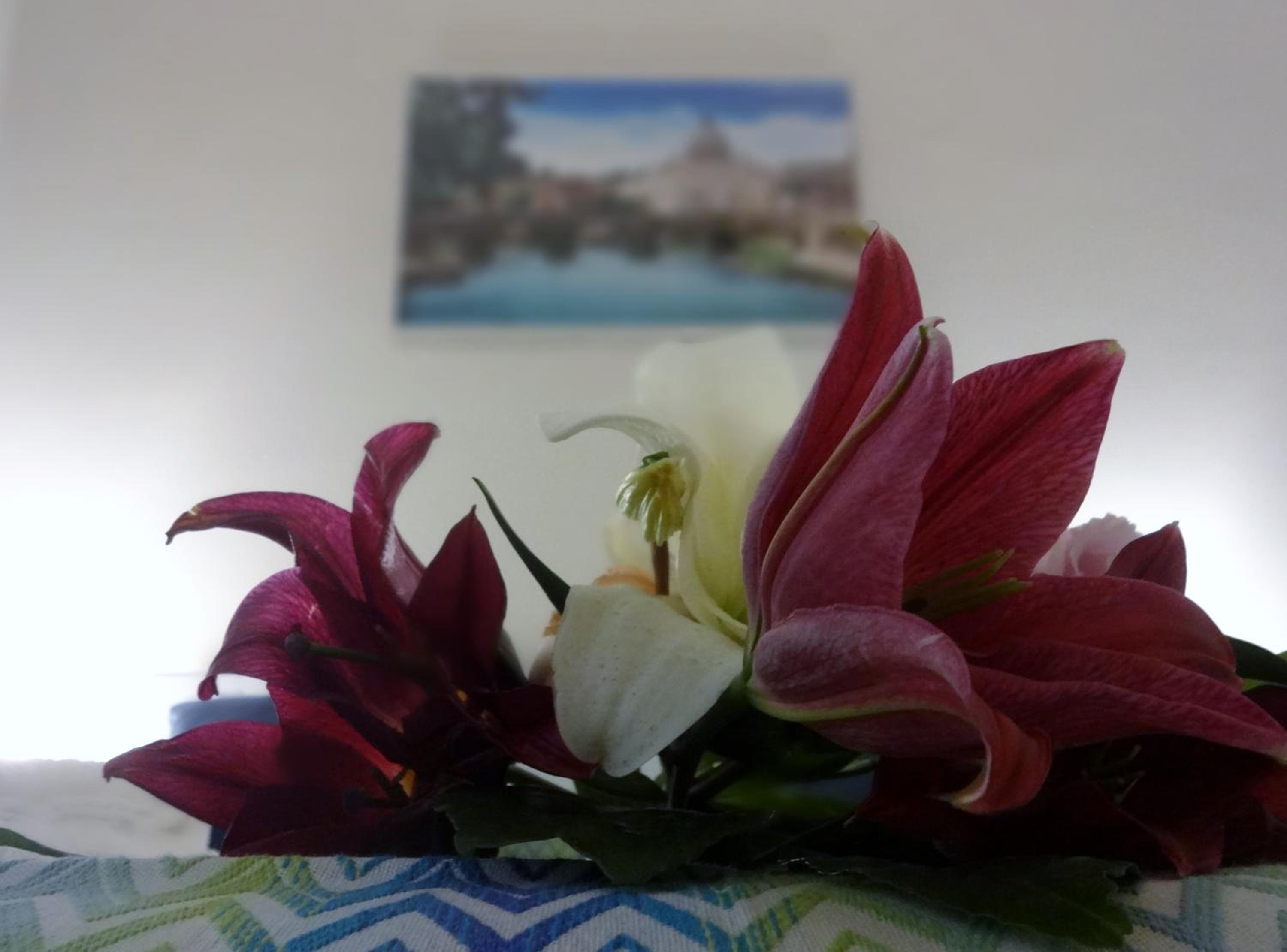 Romulea Guest House