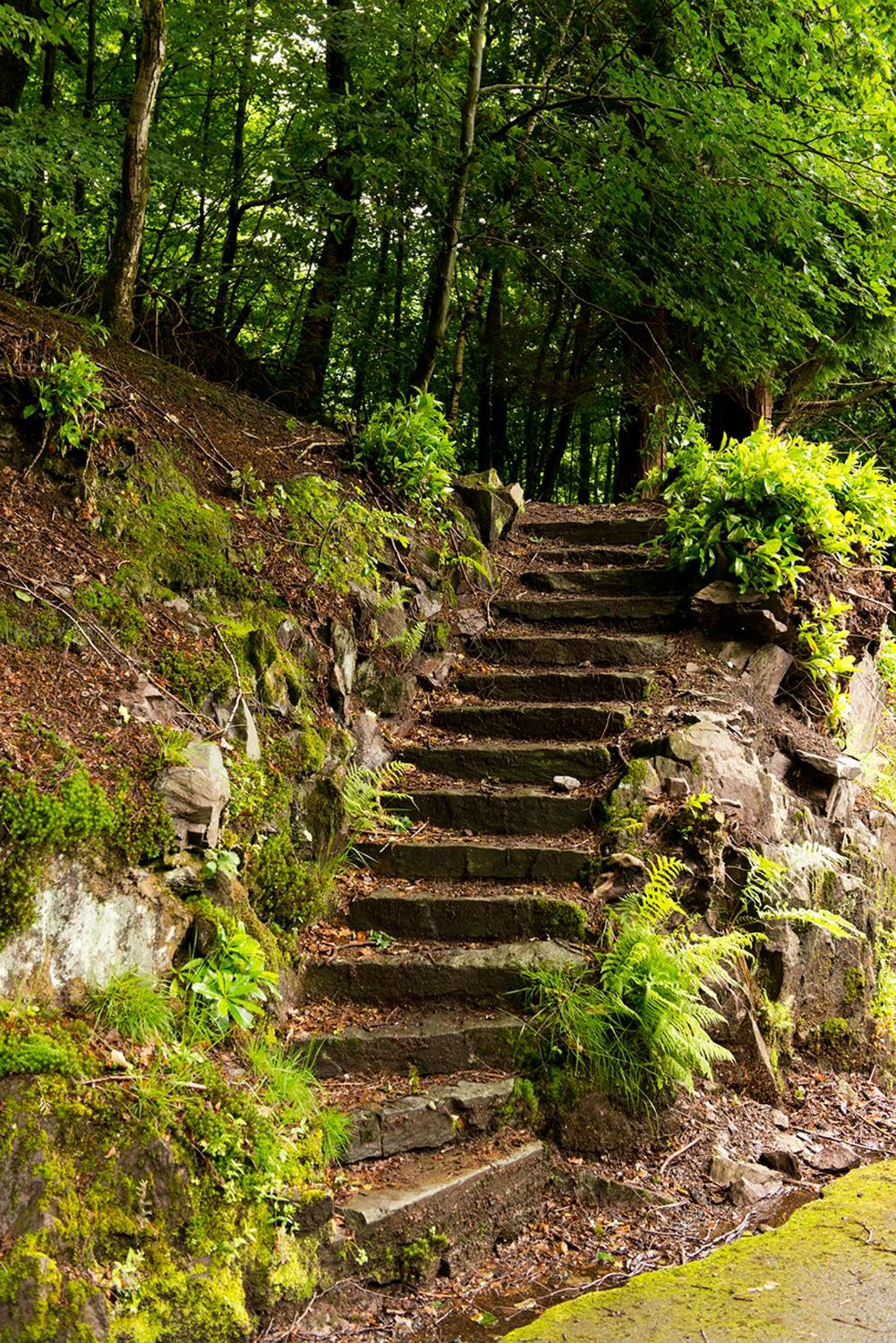 YHA Grasmere Butharlyp Howe