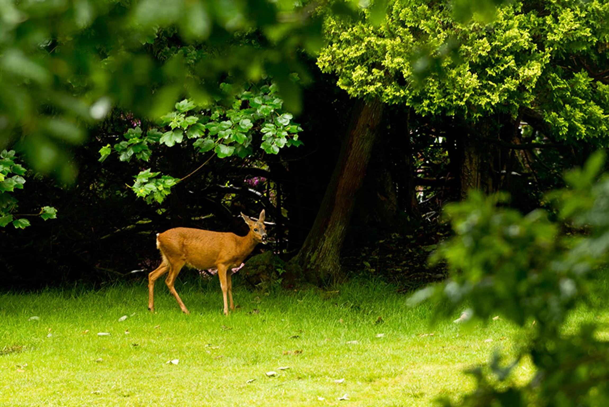 YHA Grasmere Butharlyp Howe