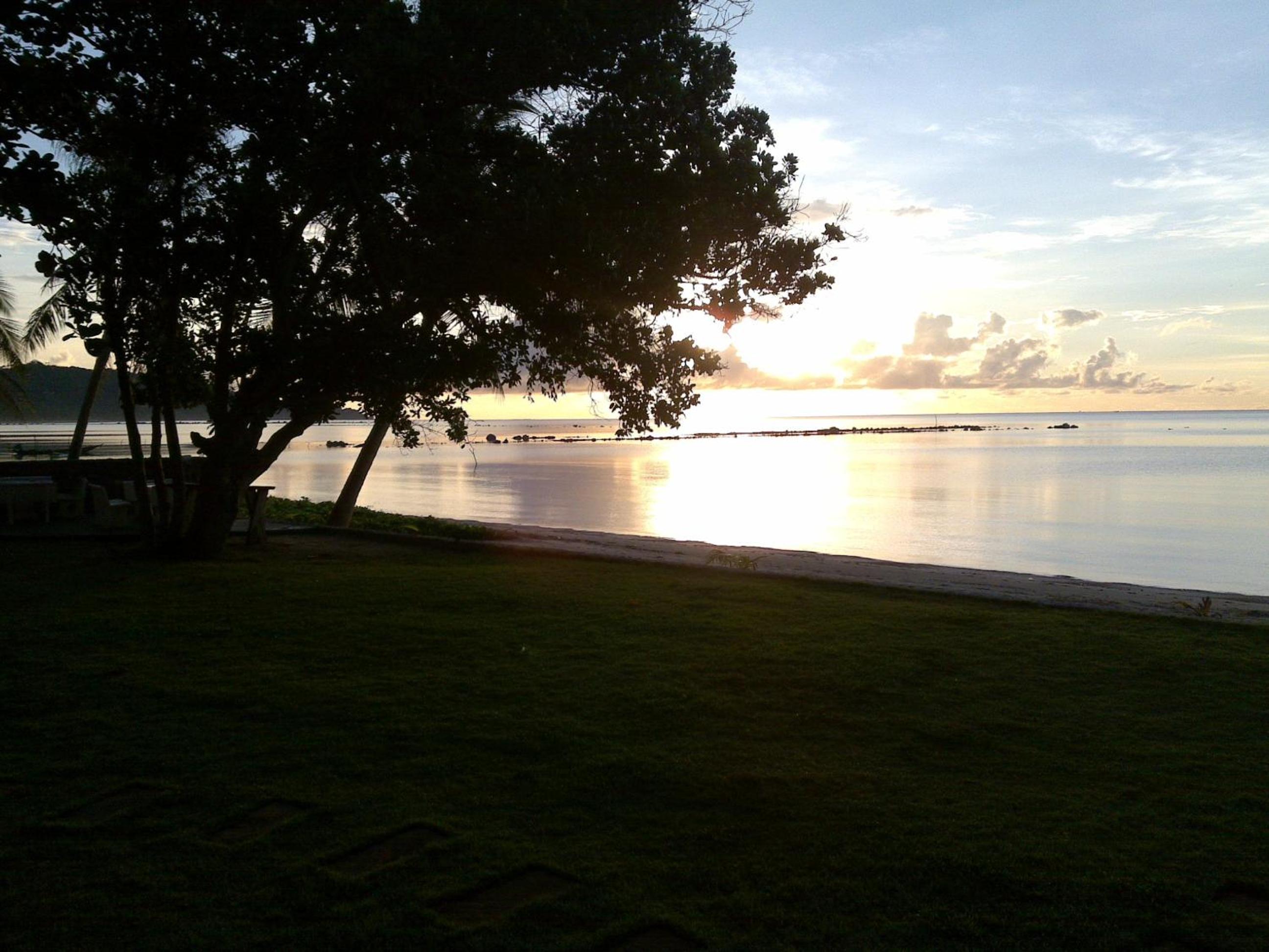 Photo 48