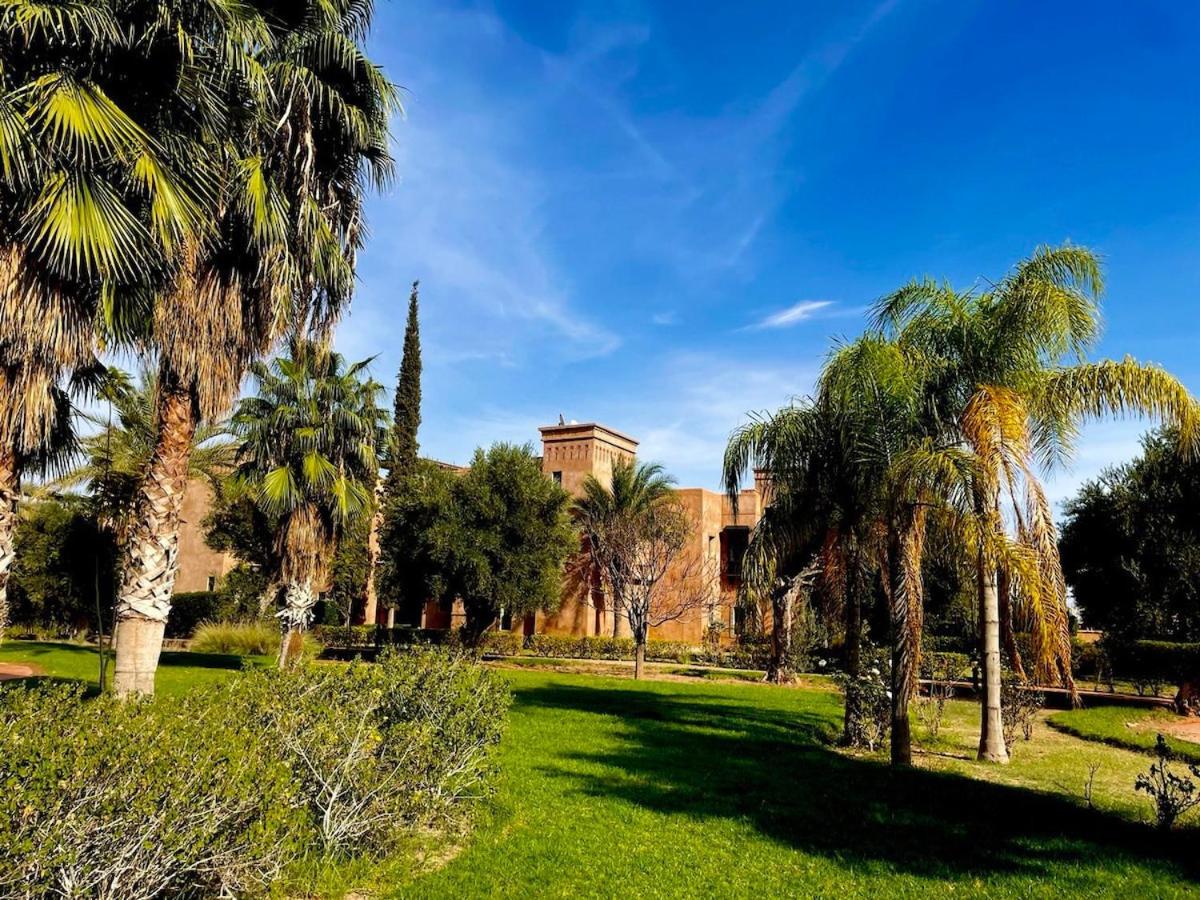 Private Riad Alemania in Marrakesh - Pool - Rooftop