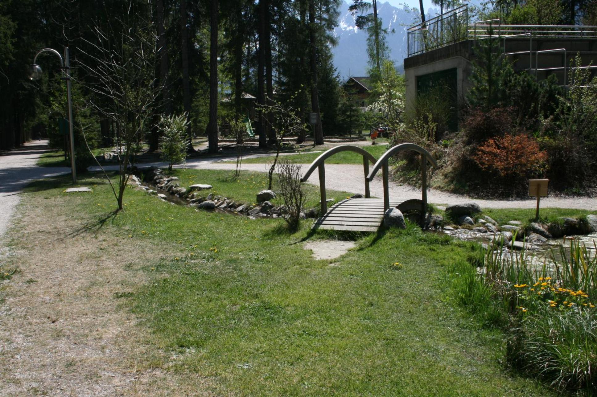 Photo 24