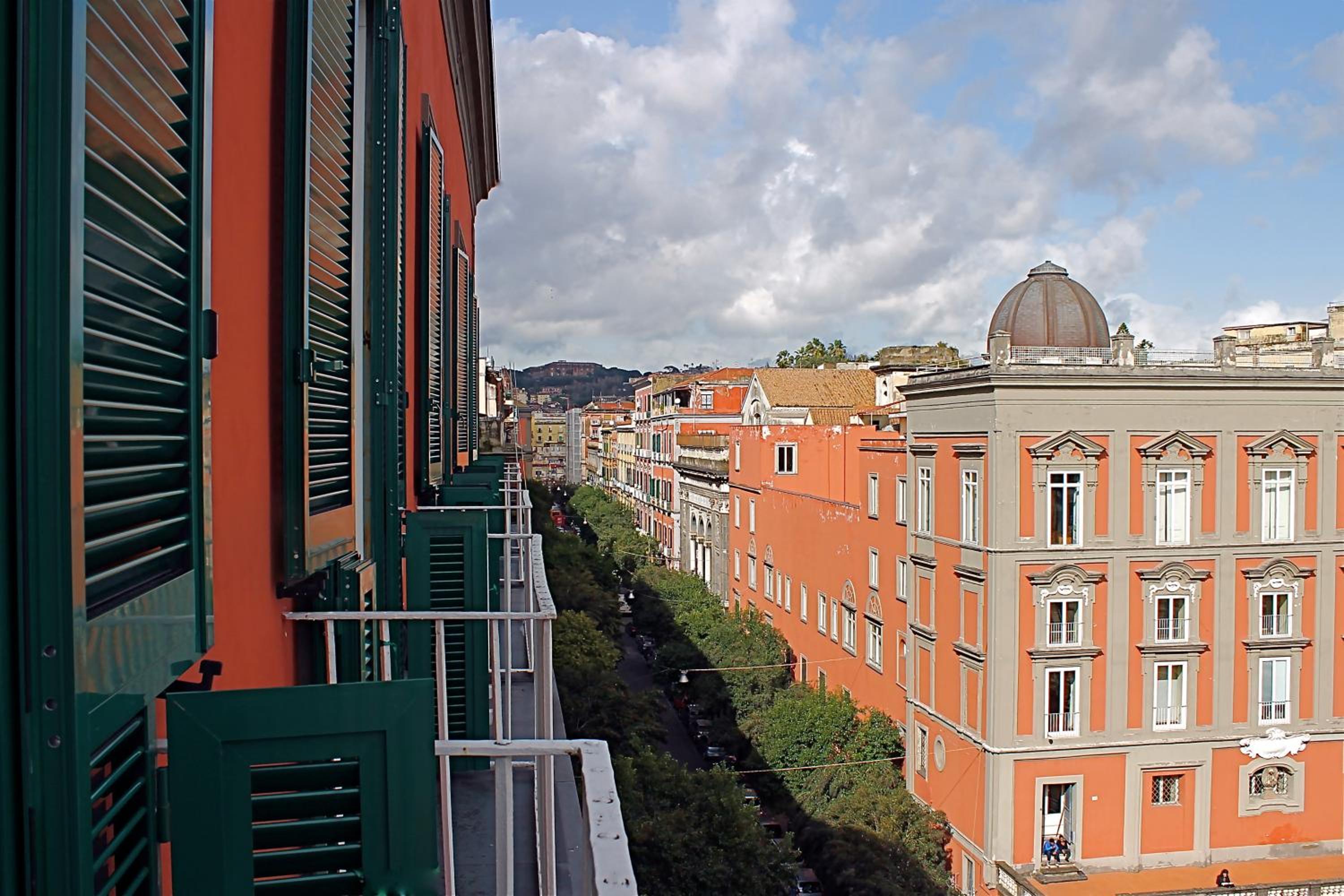 Bellini View