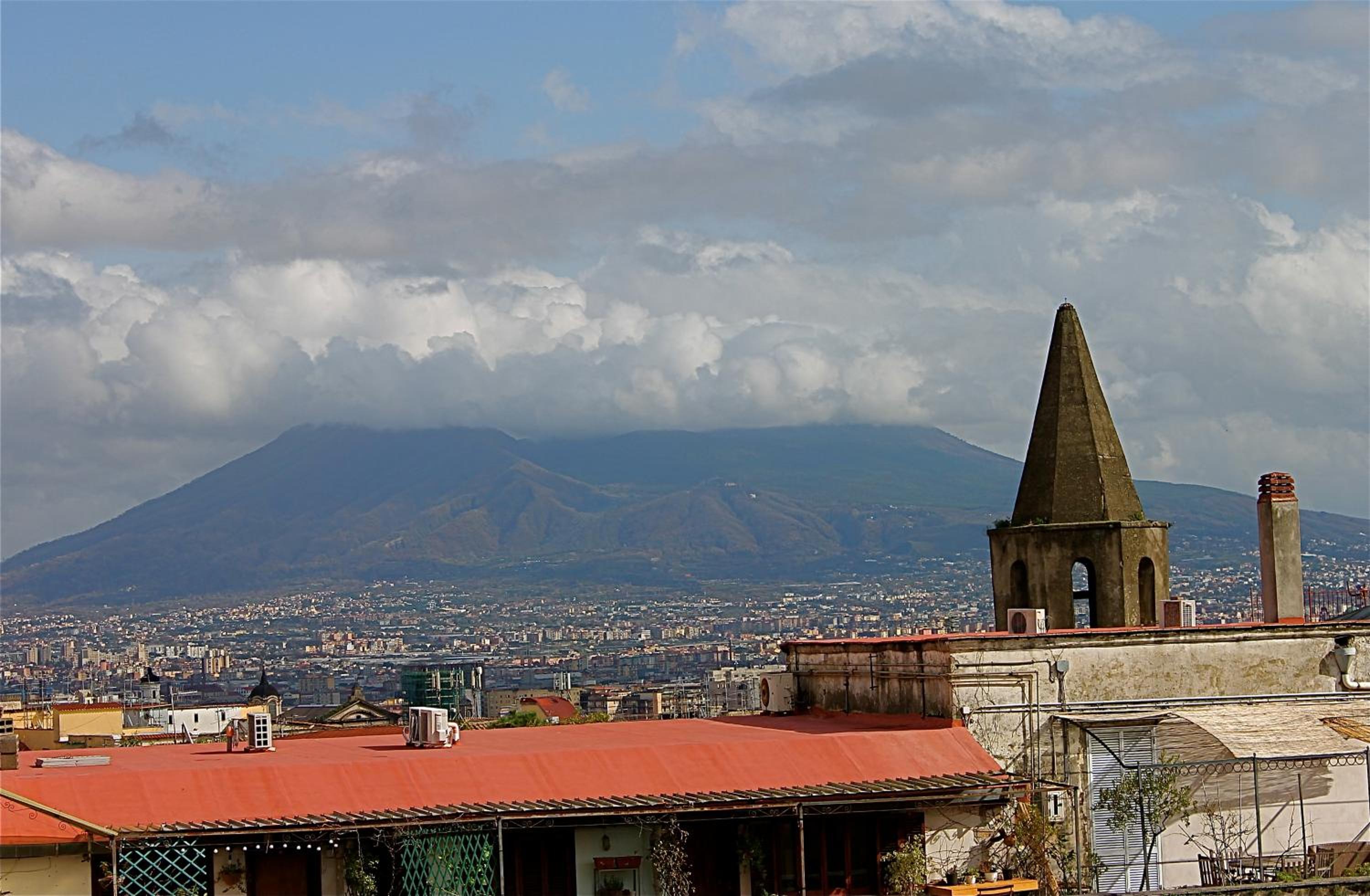 Bellini View