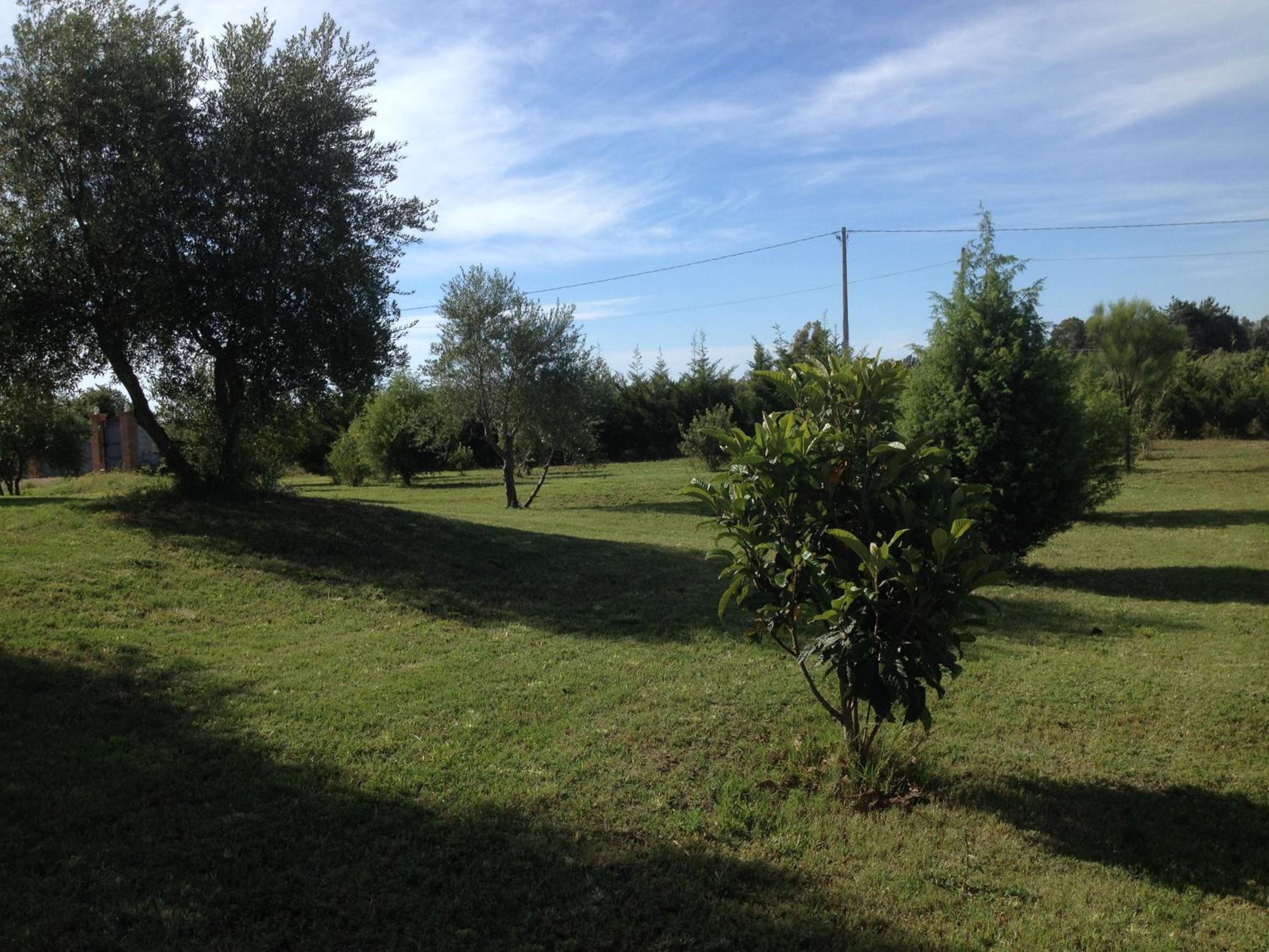 Photo 39