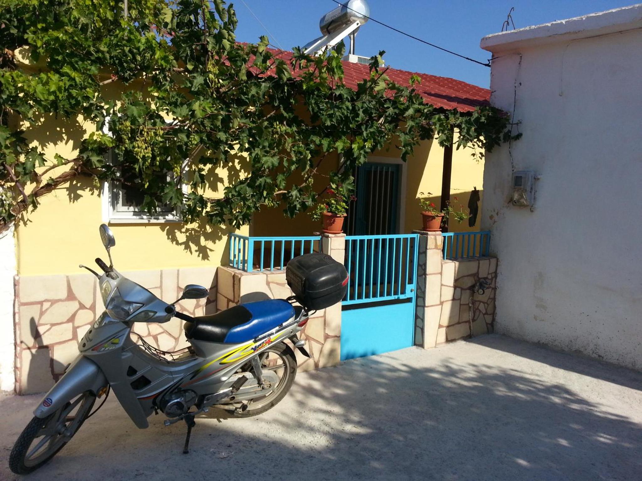 Photo 8