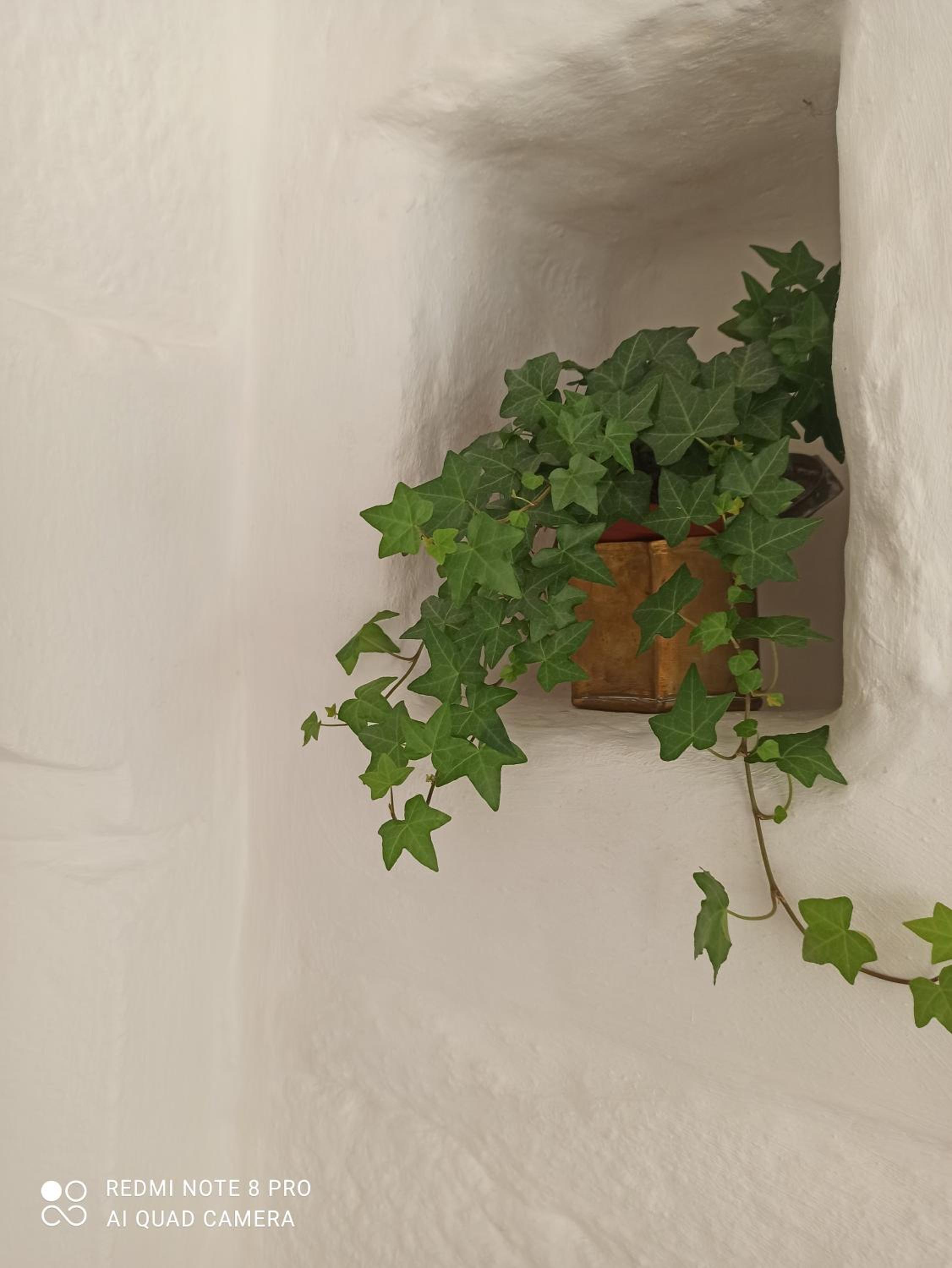 Maison de pays simple et chaleureuse