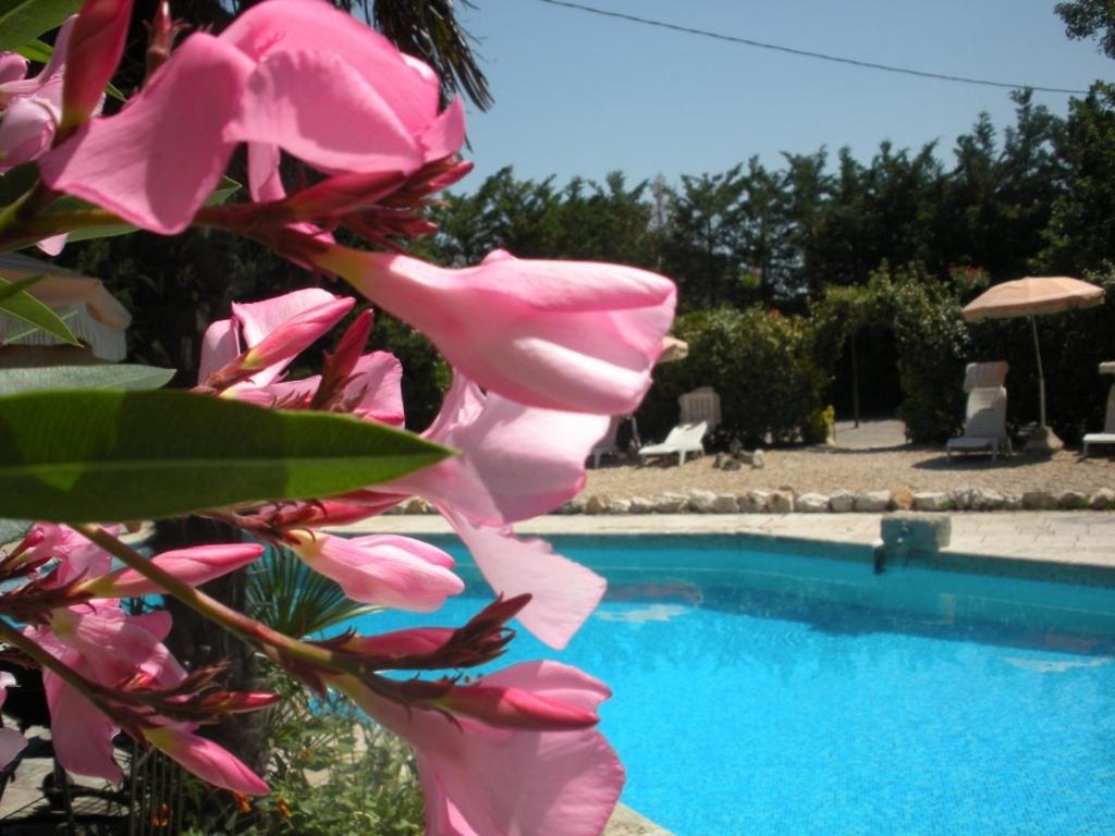 Gites Climatisés Piscine Chauffée La Balancelle, photo 137