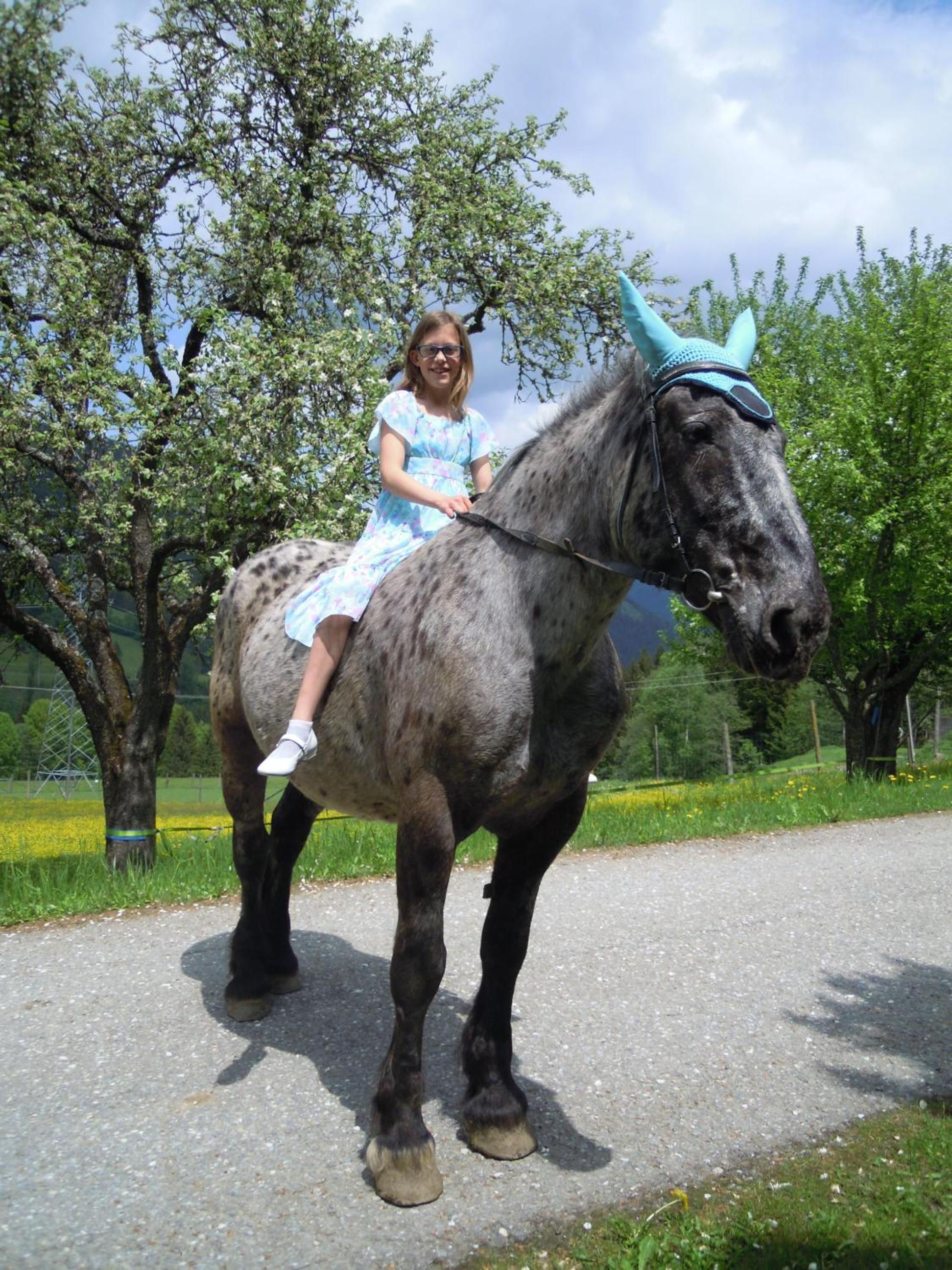 Photo 49