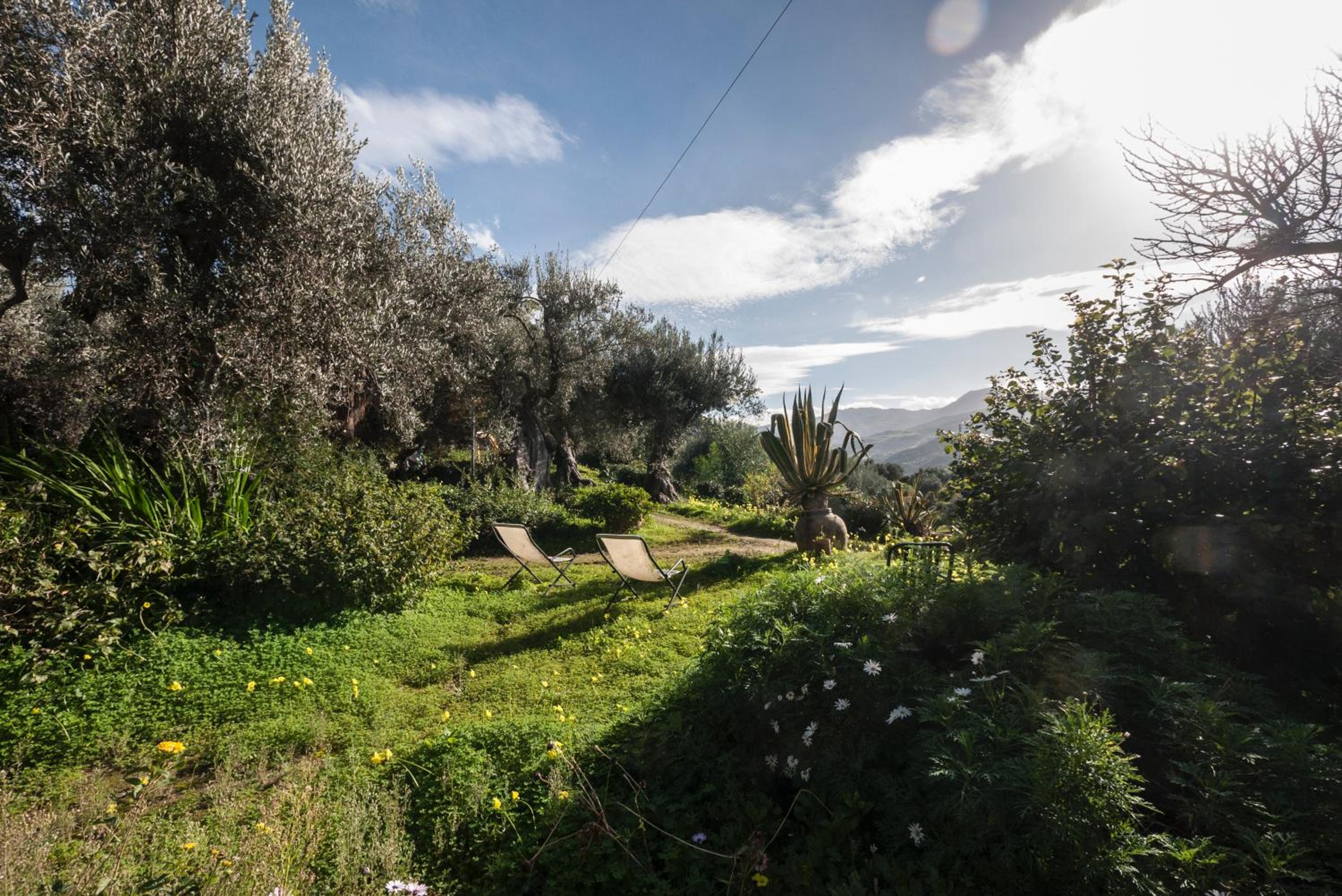 Photo 24