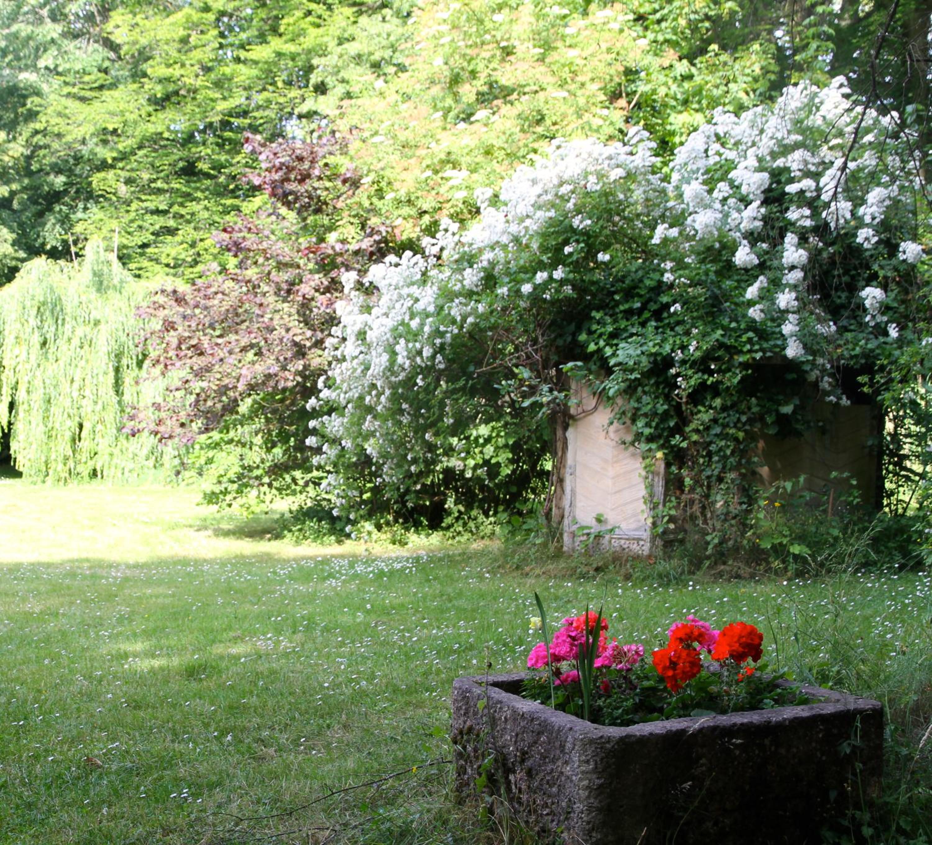 Photo 14