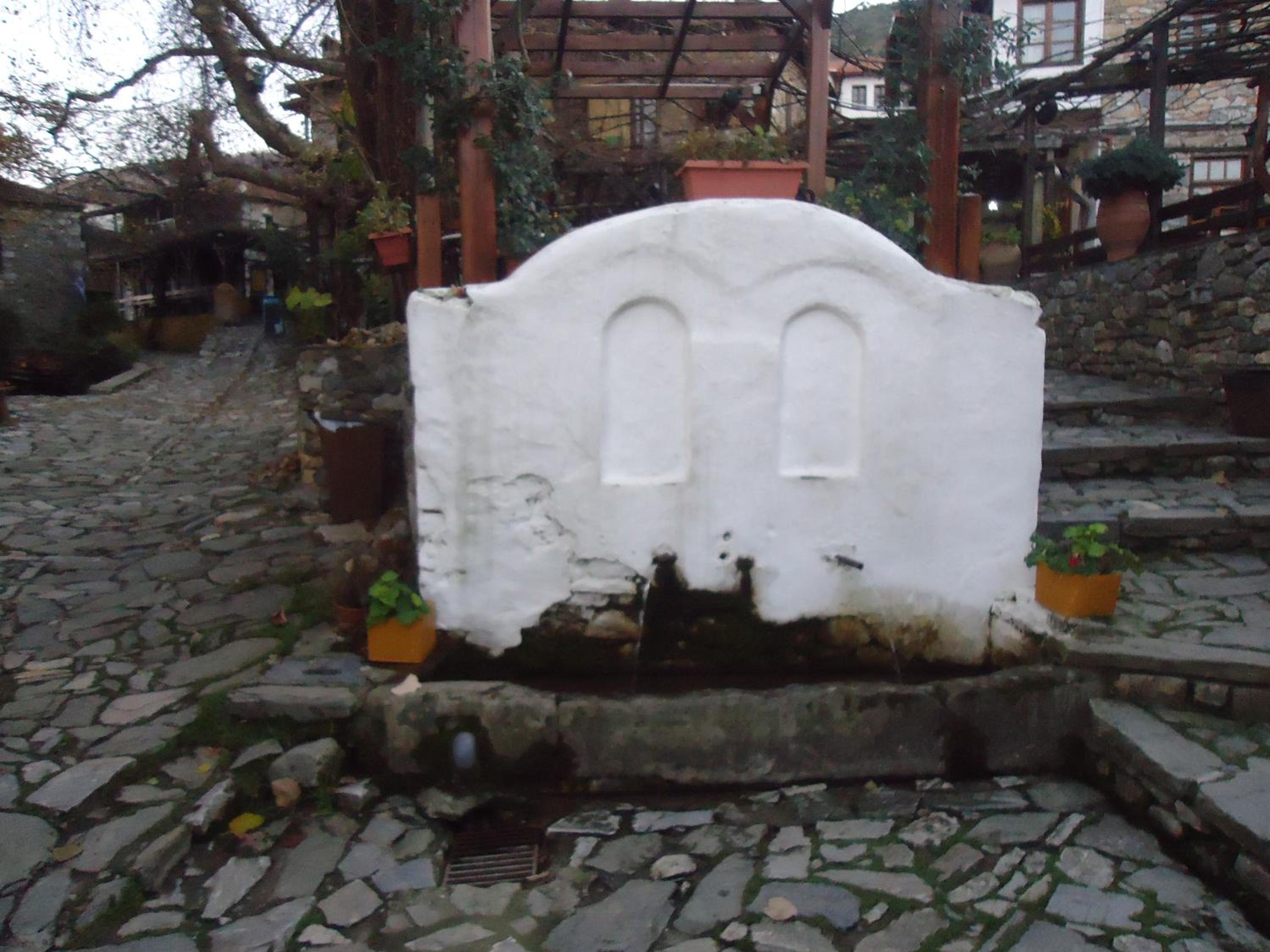 Photo 29