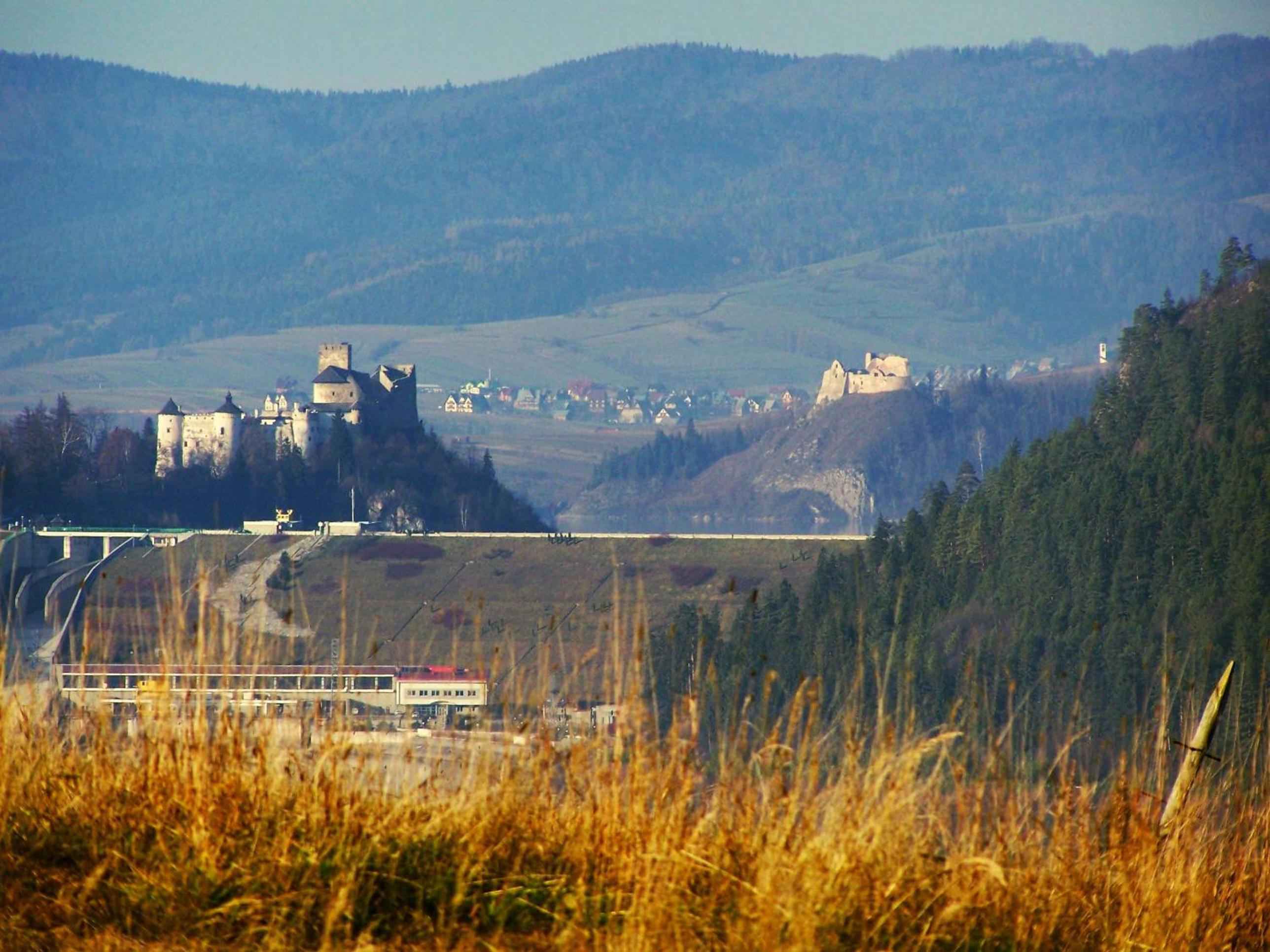Photo 42