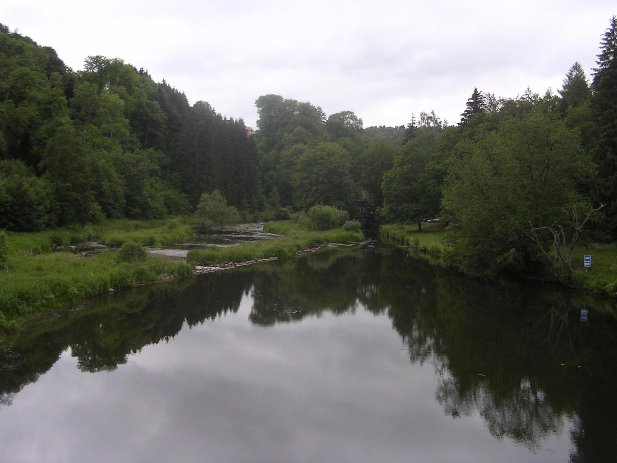 Photo 46
