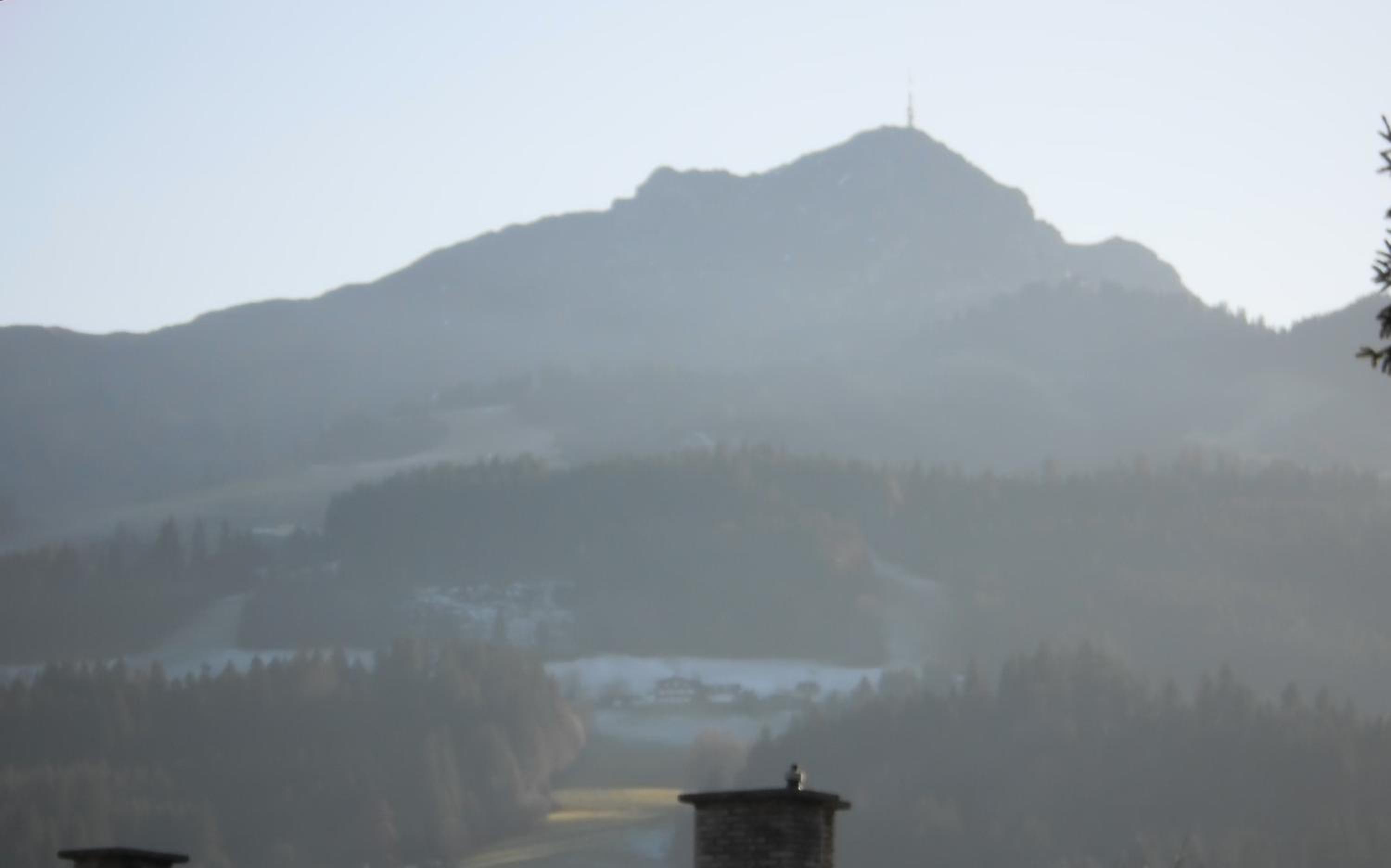 Binderhof