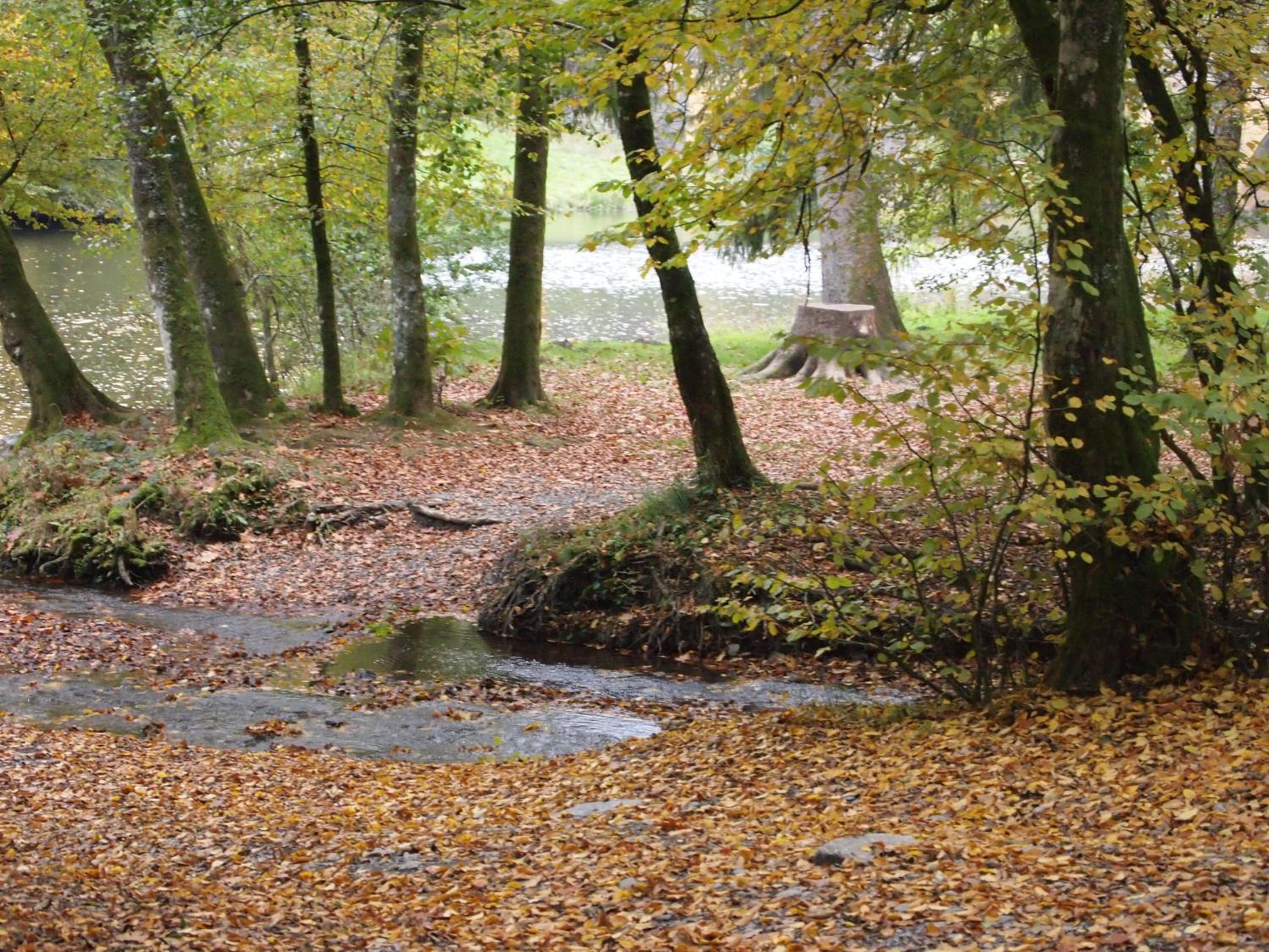 Photo 47