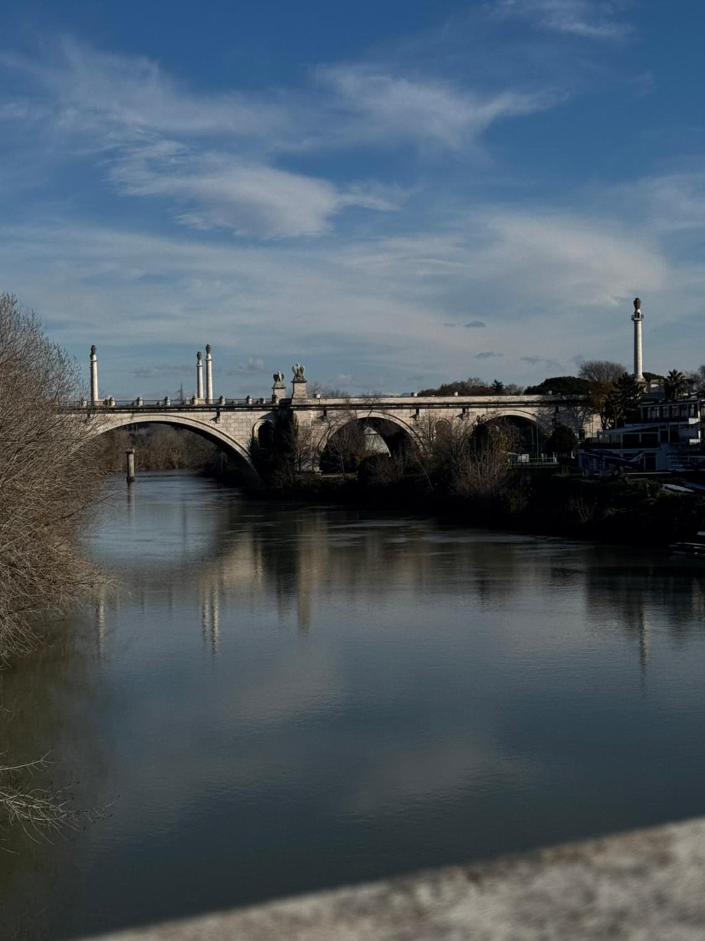 Ponte Milvio Suite & Parking- La Chambre de Sophie
