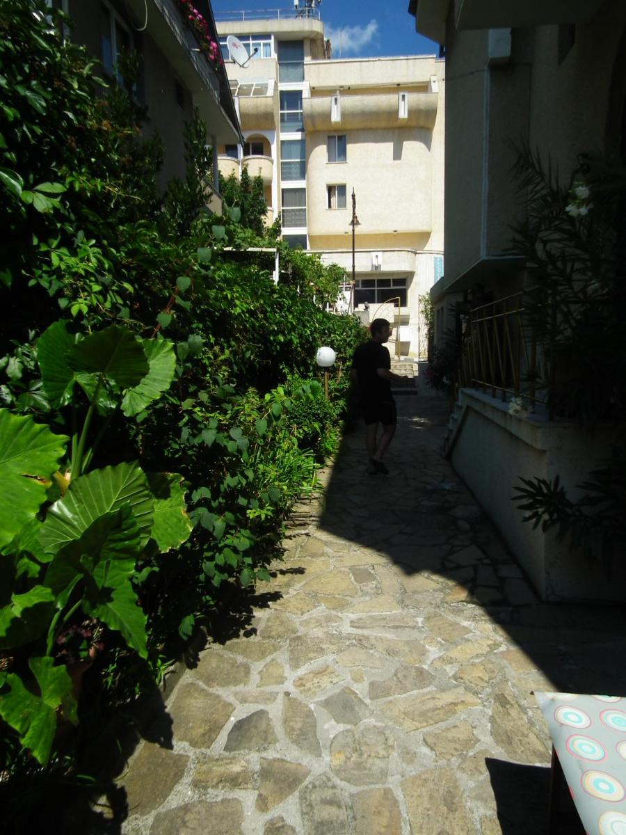 Photo 51