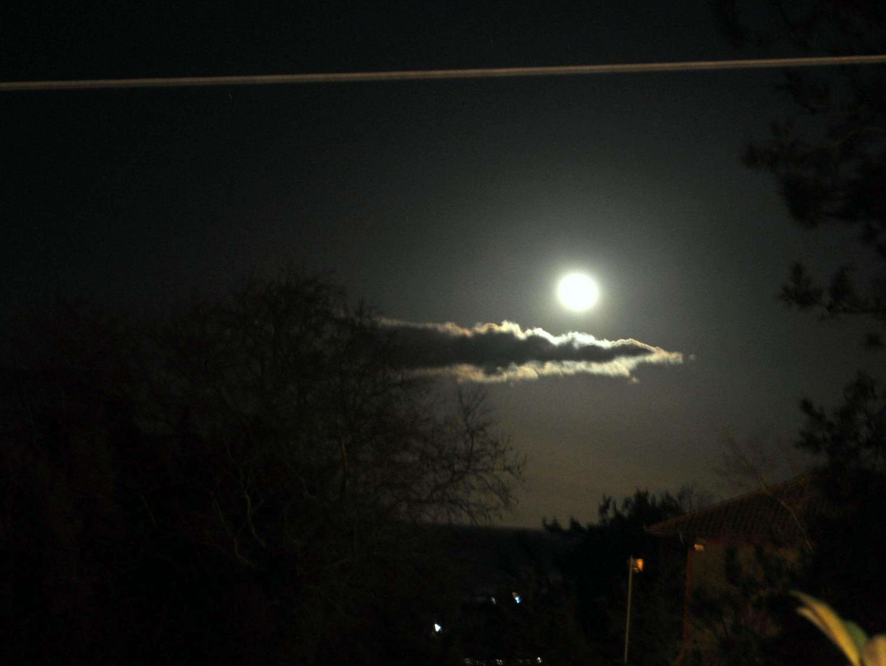 Photo 48