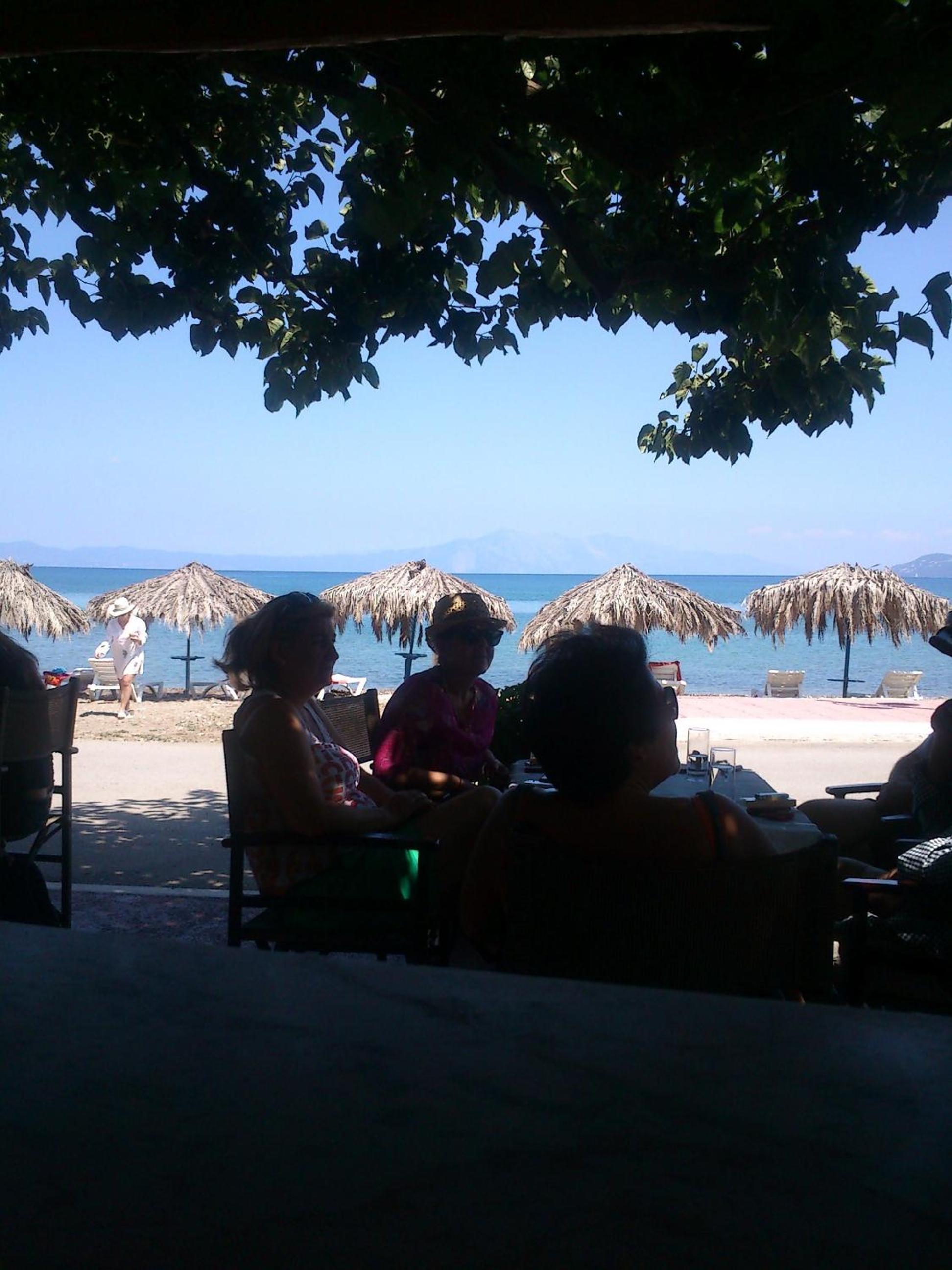 Photo 44