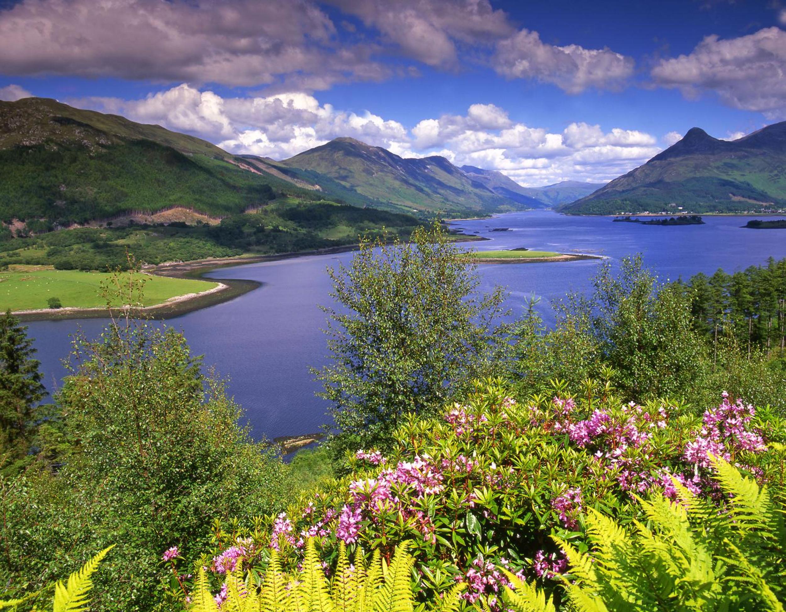 The Glencoe Inn 17
