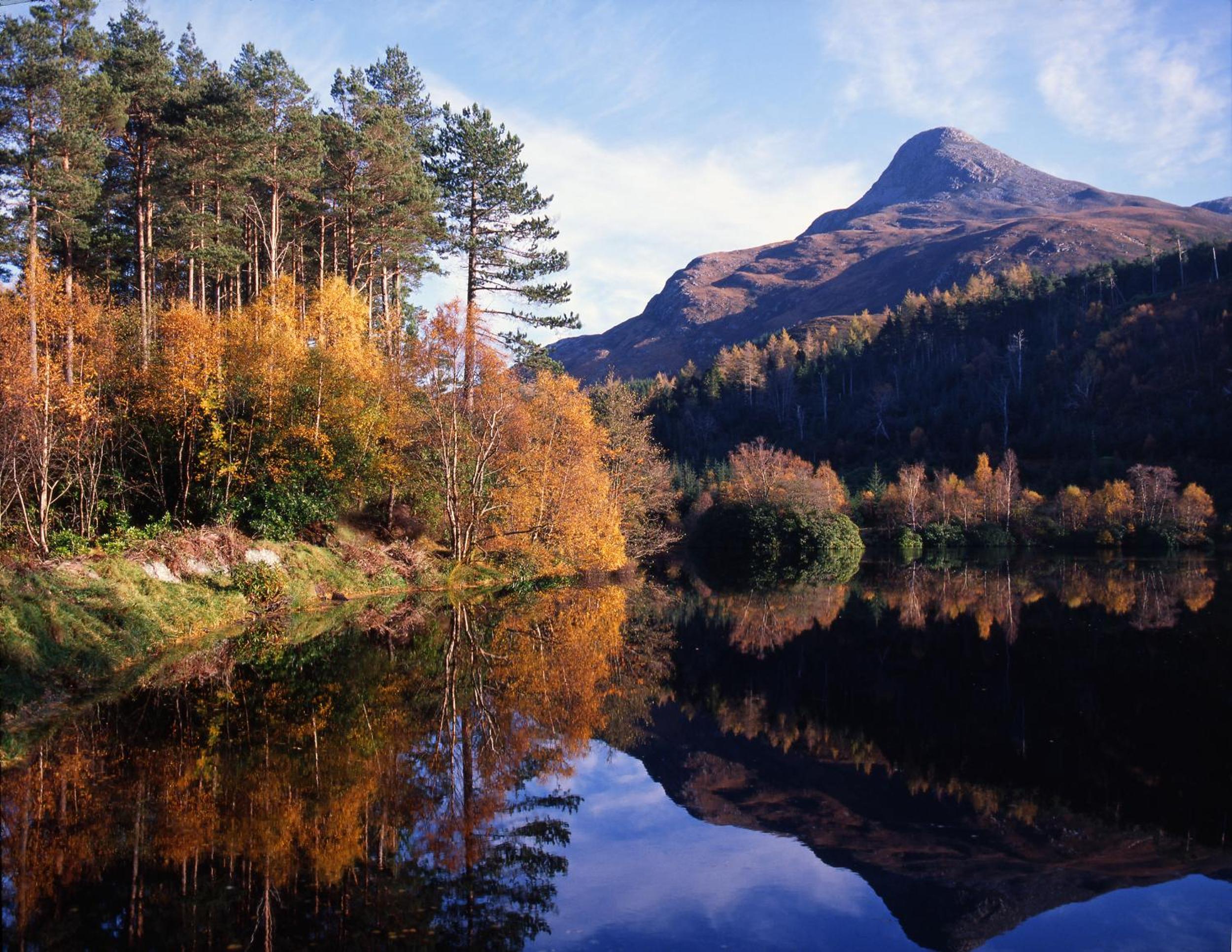 The Glencoe Inn 13
