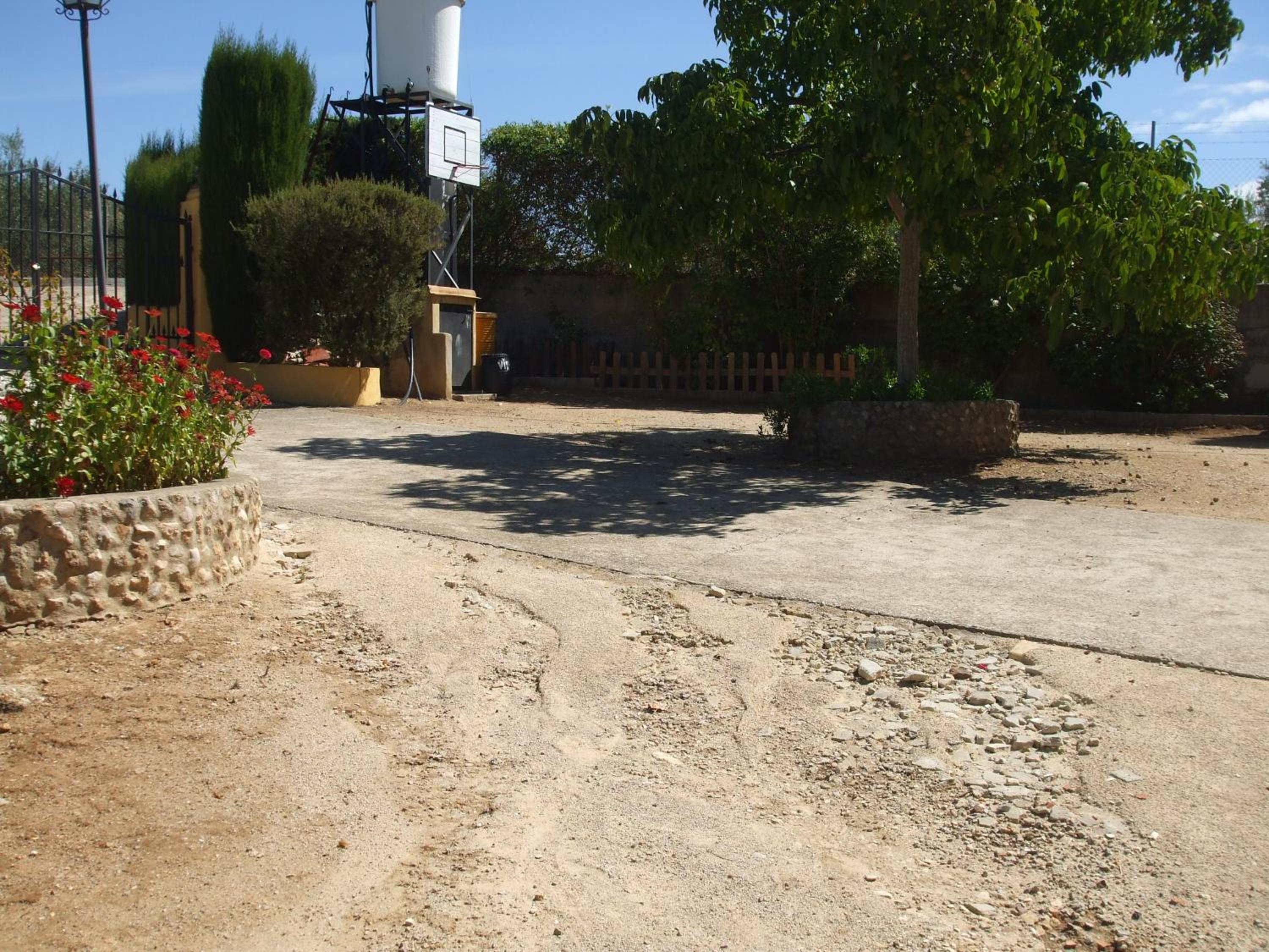 Photo 25