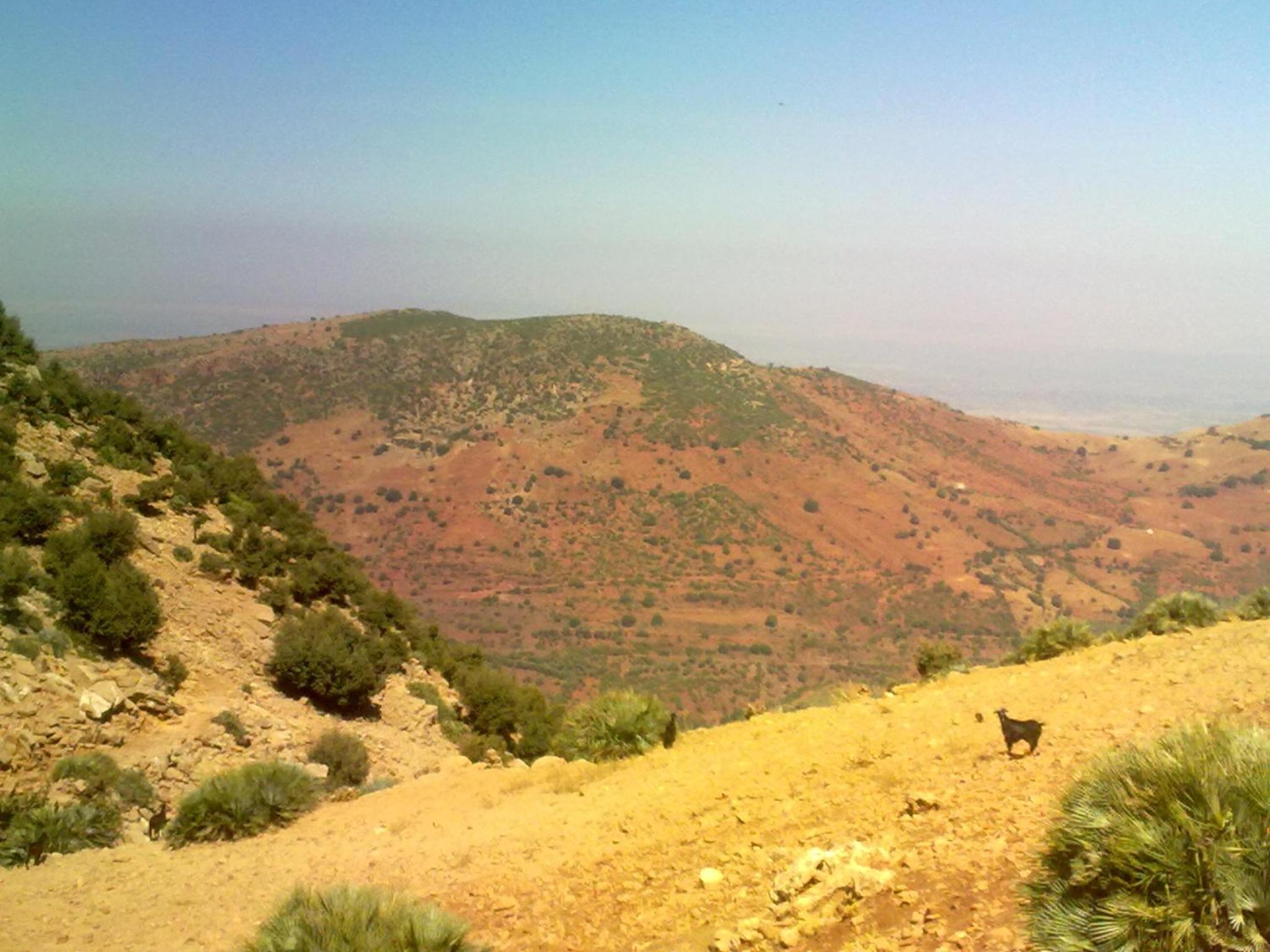 Maison d'hotes Ait Bou Izryane view 4